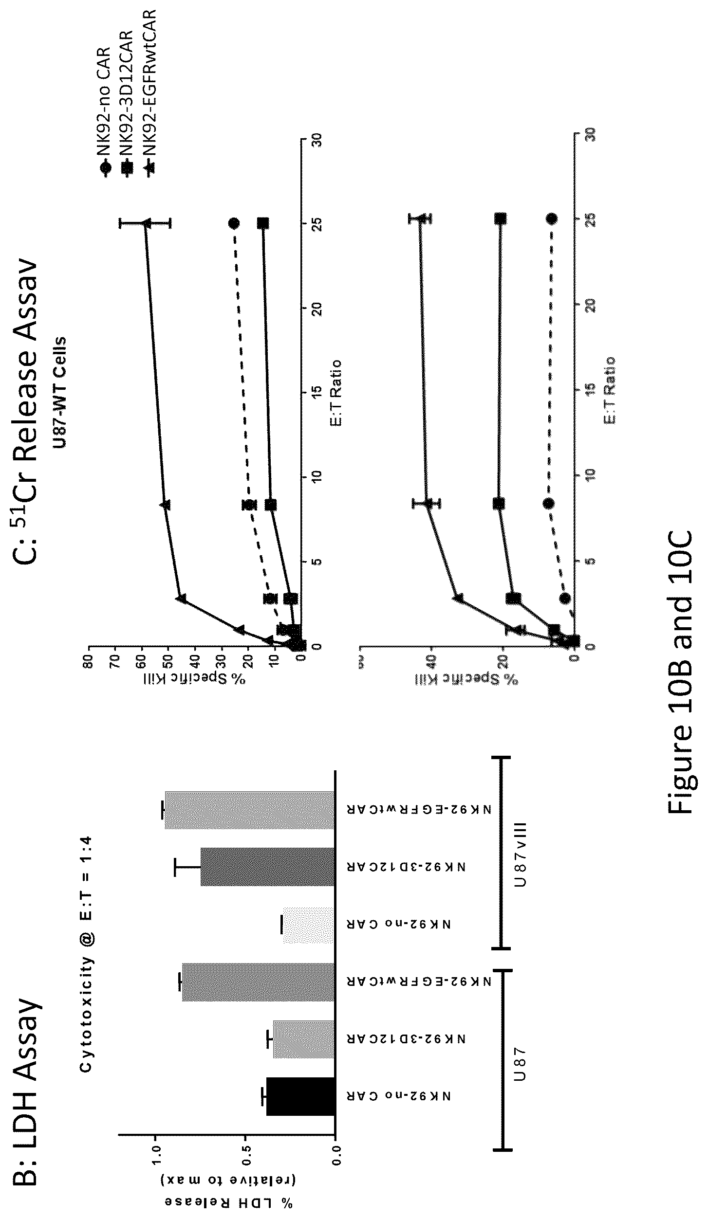 Patent US12576133 Figure 16 – Antigen-binding agents that specifically bind epidermal growth factor receptor variant III
