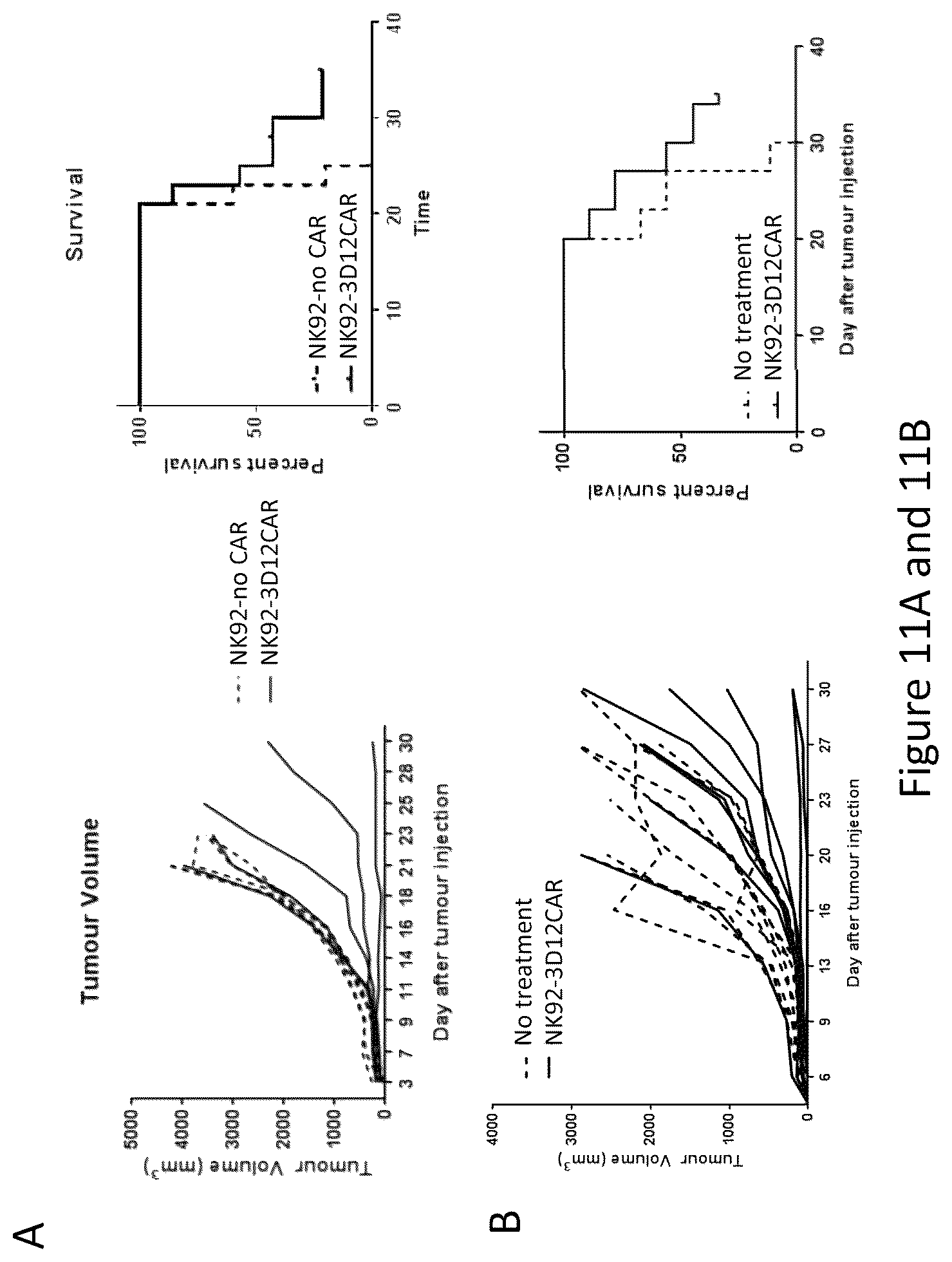 Patent US12576133 Figure 17 – Antigen-binding agents that specifically bind epidermal growth factor receptor variant III