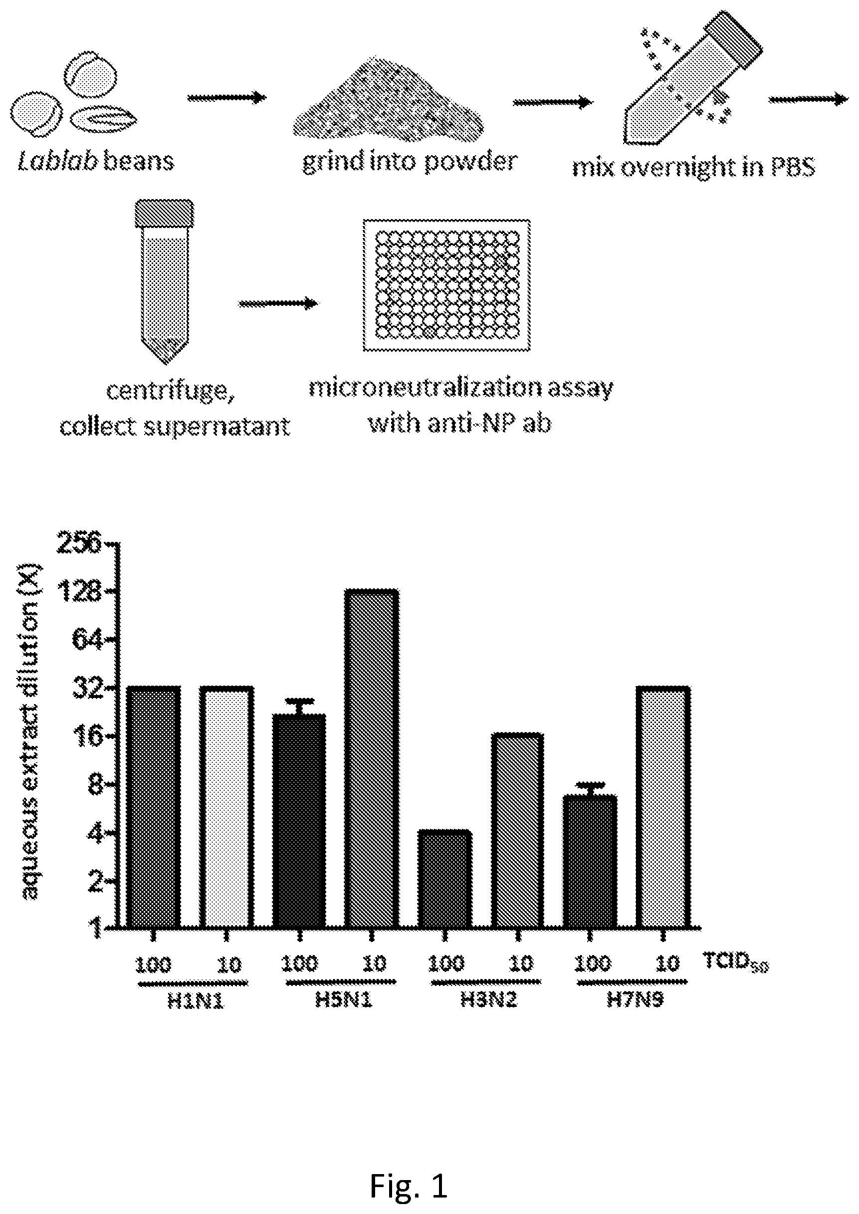 Patent US12576134 Figure 1 – Antiviral lectin and uses thereof