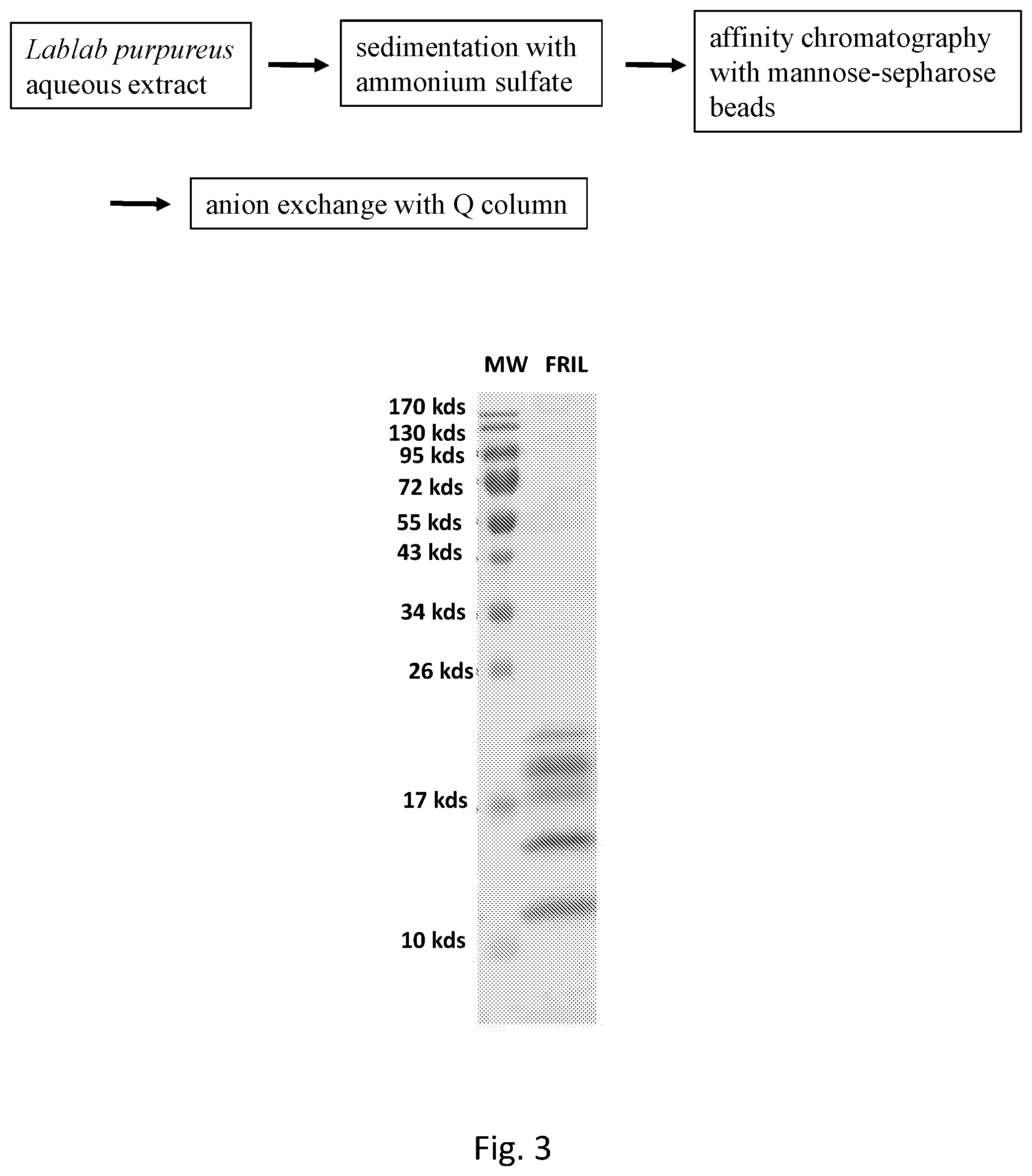 Patent US12576134 Figure 3 – Antiviral lectin and uses thereof