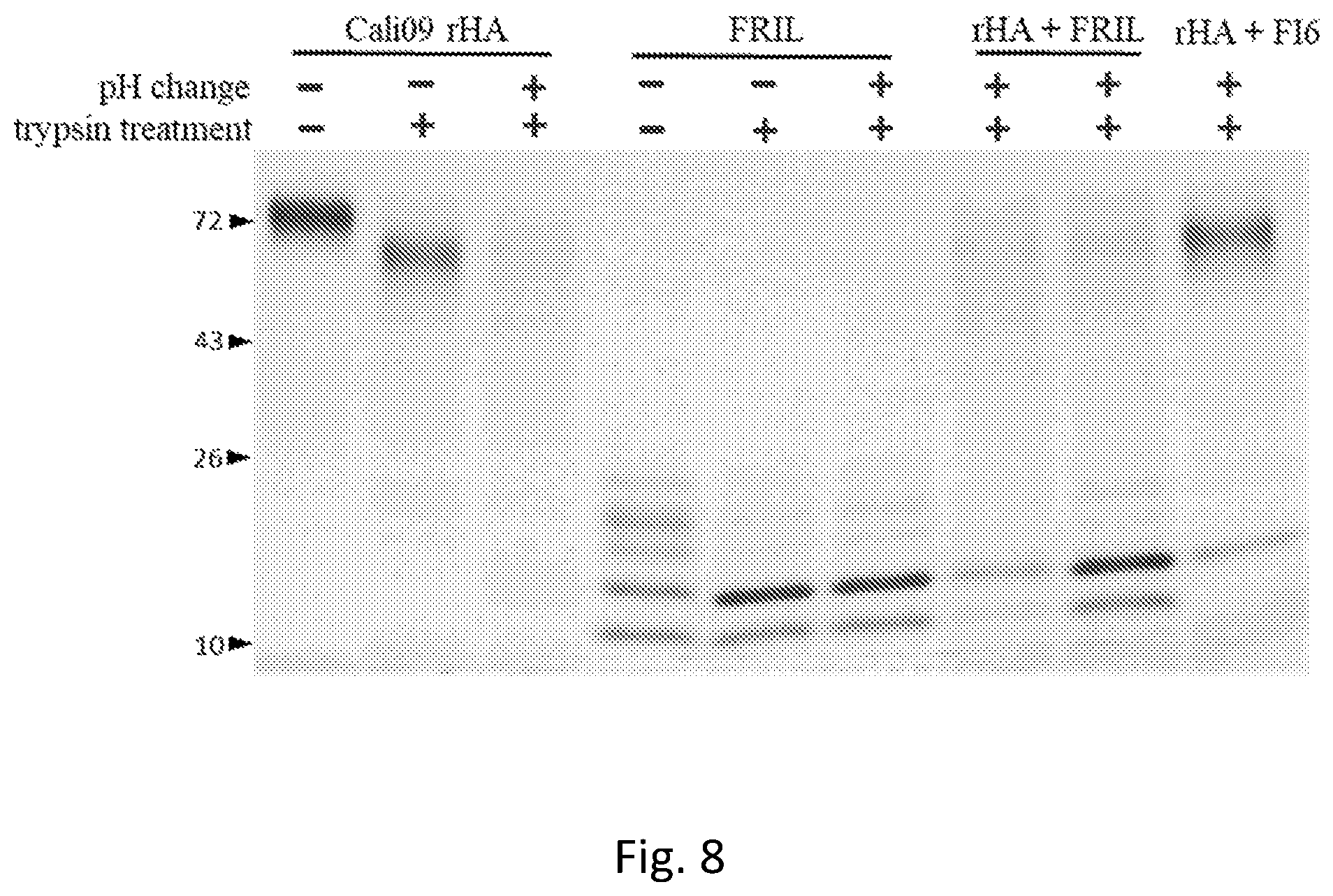 Patent US12576134 Figure 9 – Antiviral lectin and uses thereof