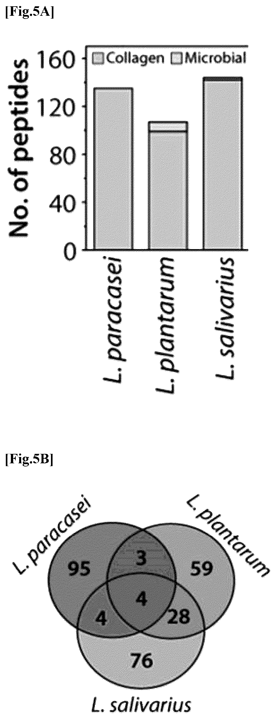 Patent US12576137 Figure 7 – Collagen hydrolysate comprising GPCR ligand peptide