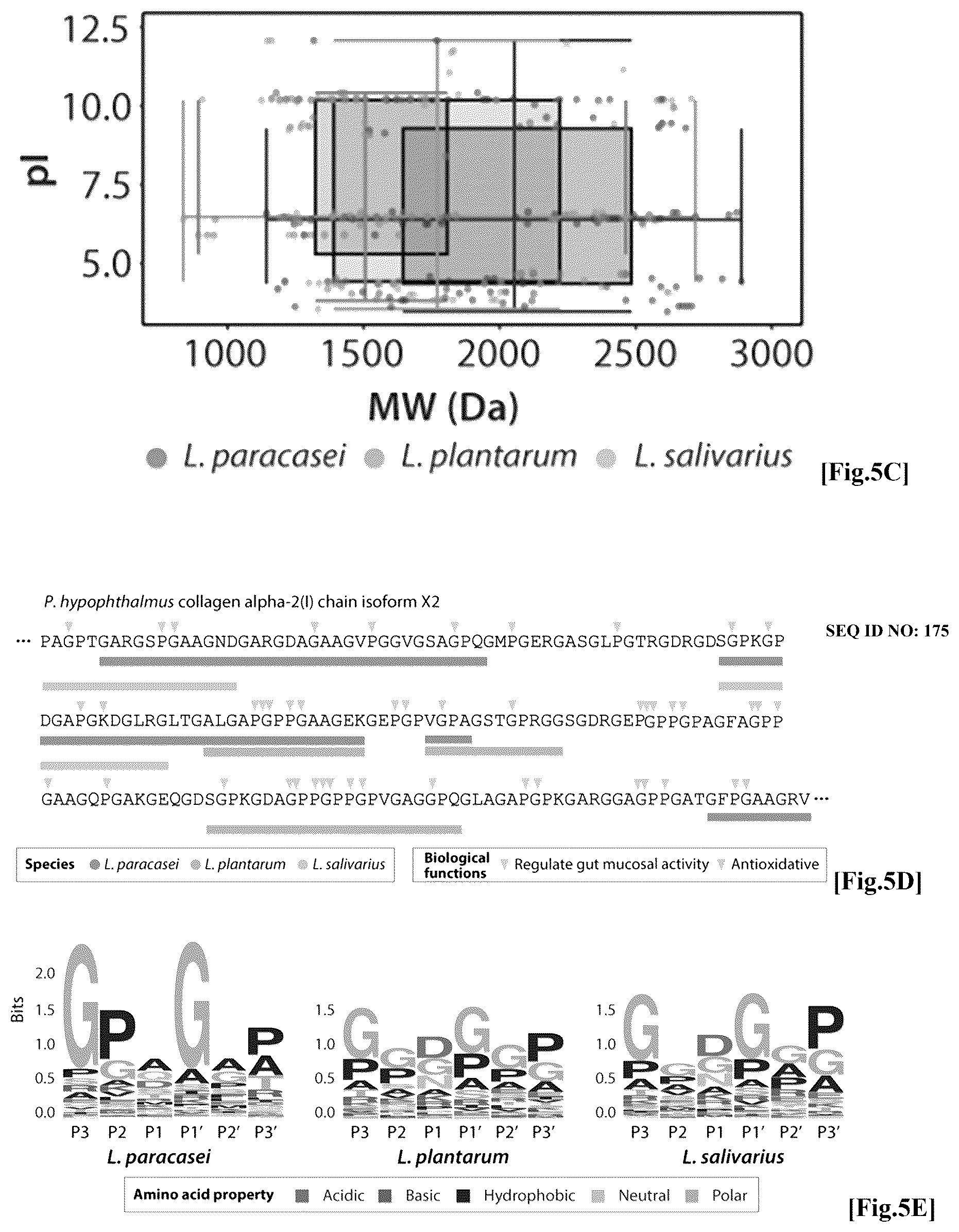Patent US12576137 Figure 8 – Collagen hydrolysate comprising GPCR ligand peptide