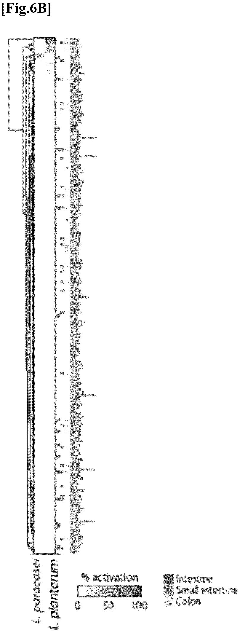Patent US12576137 Figure 10 – Collagen hydrolysate comprising GPCR ligand peptide