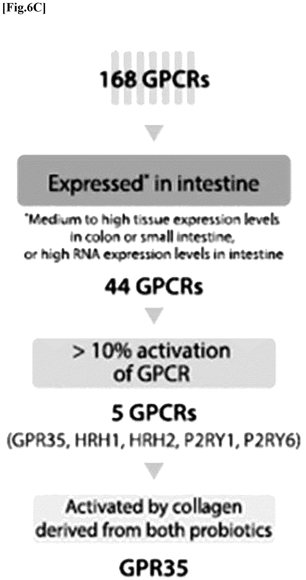 Patent US12576137 Figure 11 – Collagen hydrolysate comprising GPCR ligand peptide