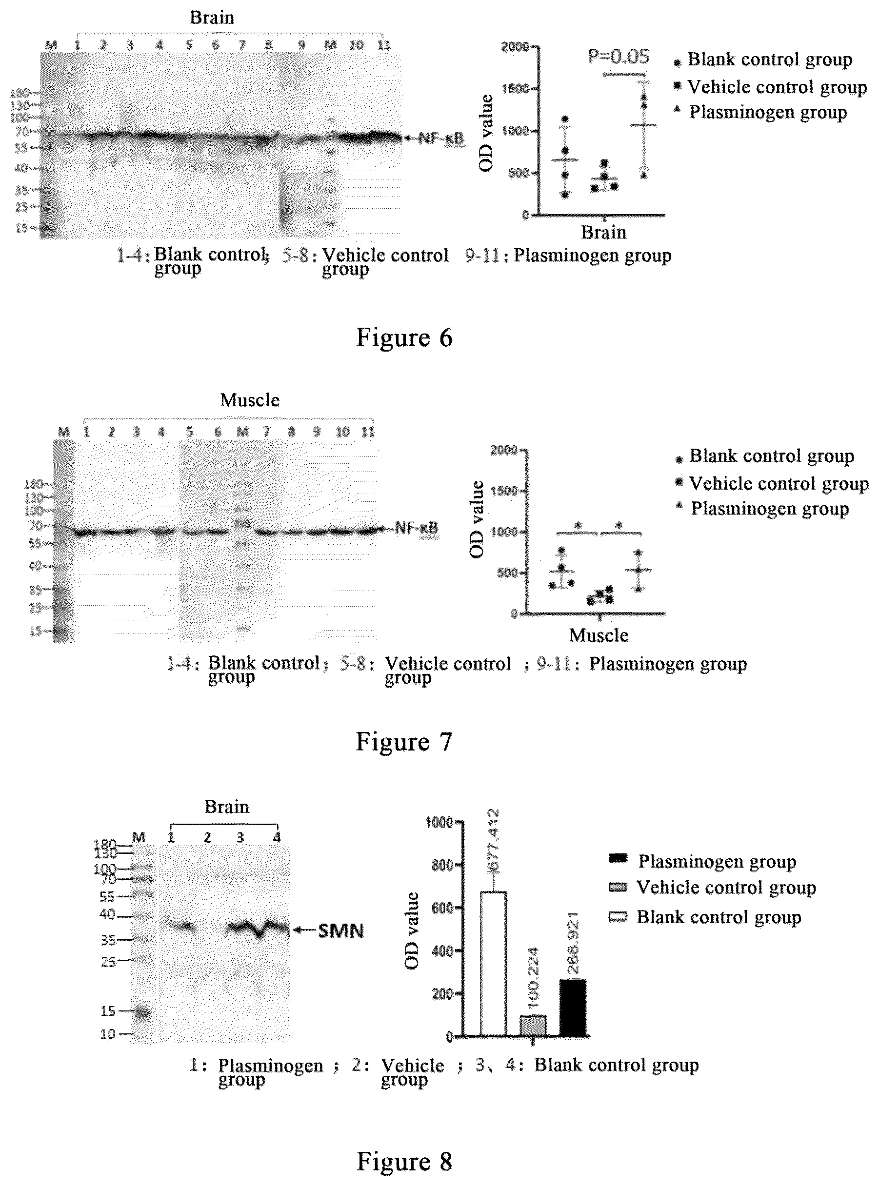 Patent US12576139 Figure 3 – Method and drug for treating spinal muscular atrophy