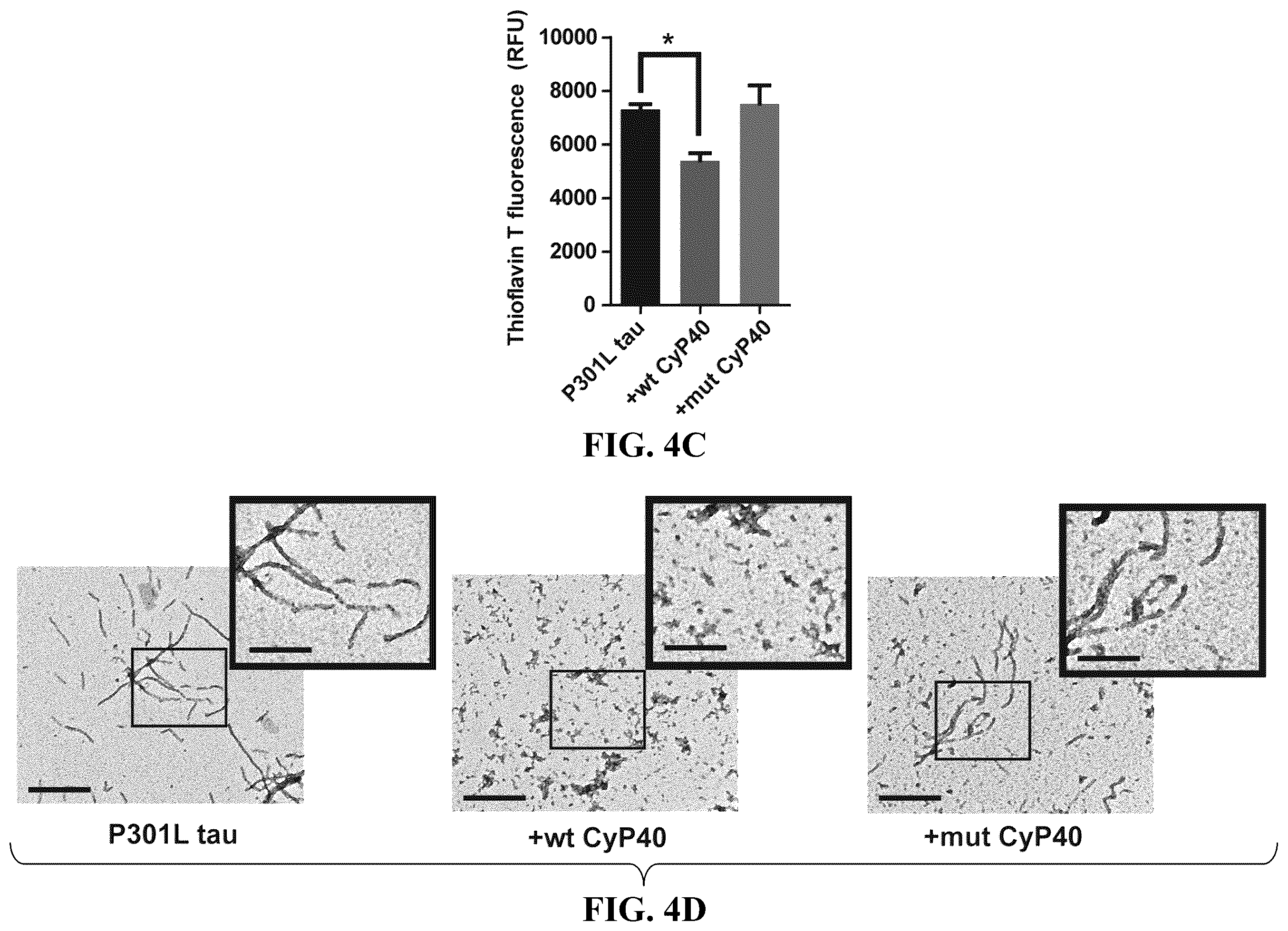 Patent US12576140 Figure 10 – Cyclophilin 40 for reduction of neurotoxic fibrils and treatment of neurodegenerative diseases