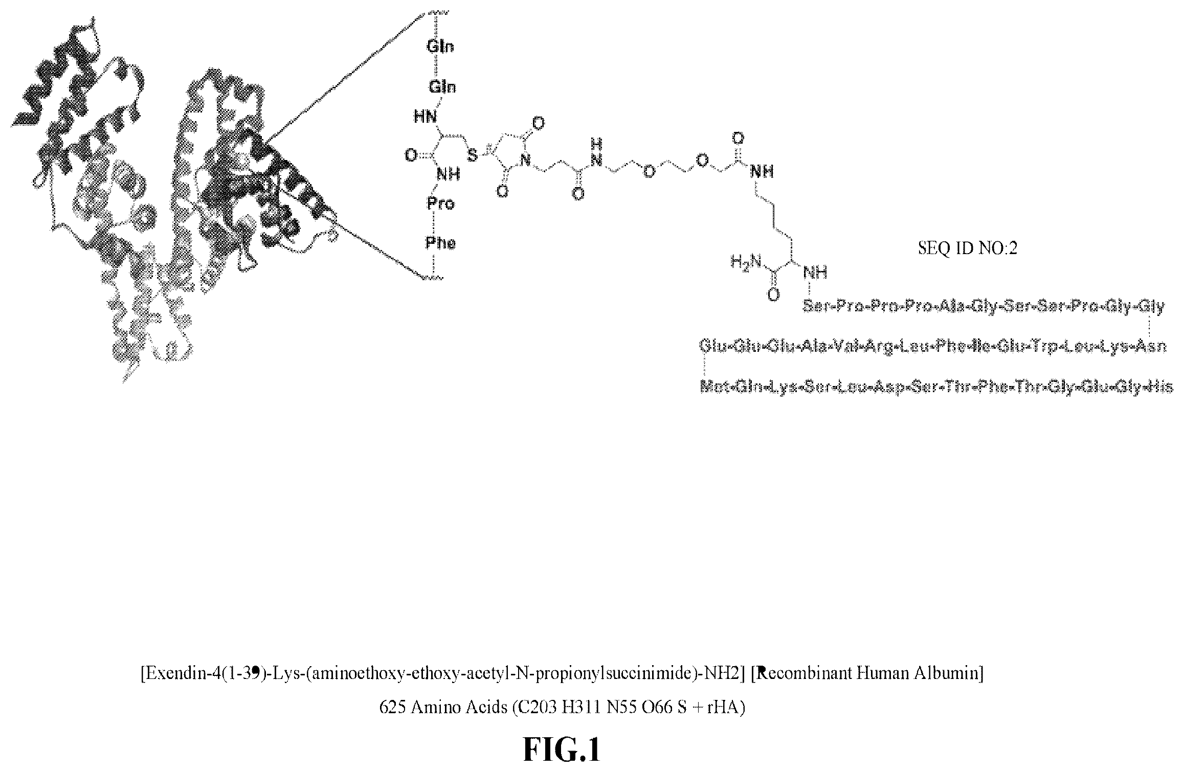 Patent US12576141 Figure 1 – Albumin bound macromolecule tri-agonist activating GLP-1/GIP/glucagon receptors