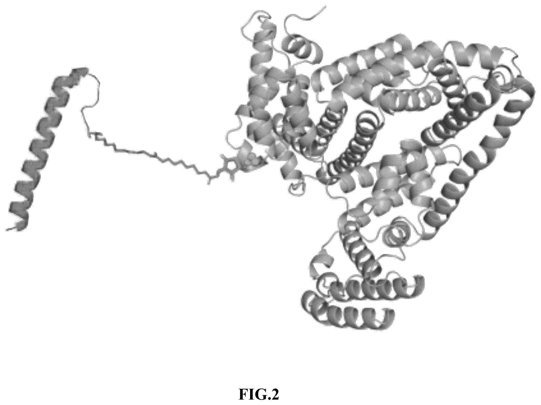 Patent US12576141 Figure 2 – Albumin bound macromolecule tri-agonist activating GLP-1/GIP/glucagon receptors