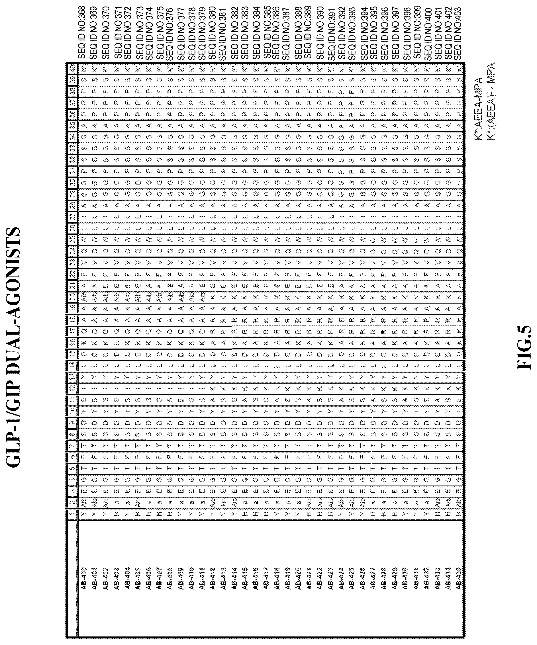 Patent US12576141 Figure 5 – Albumin bound macromolecule tri-agonist activating GLP-1/GIP/glucagon receptors