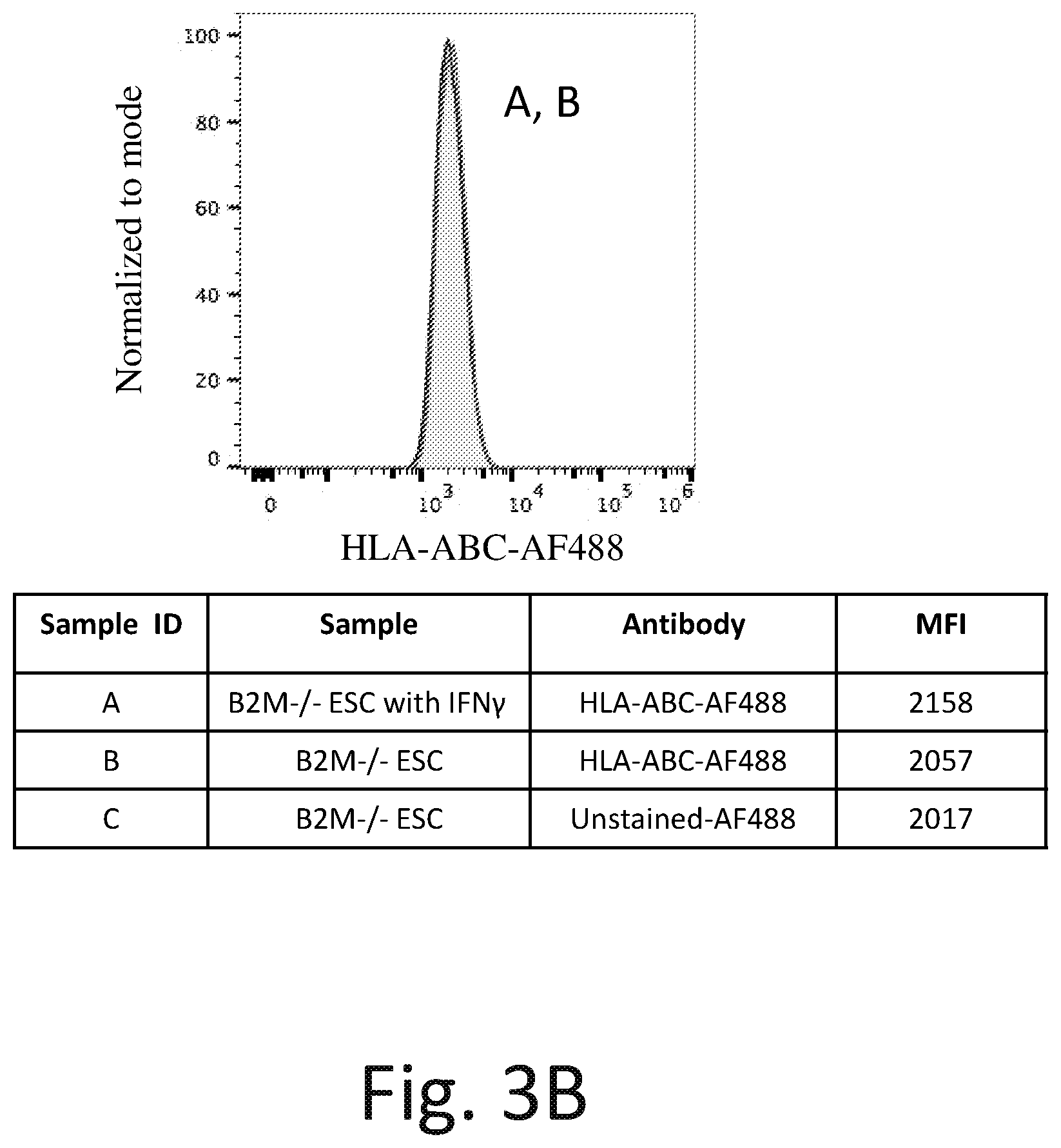Patent US12576142 Figure 5 – Universal donor cells and related methods