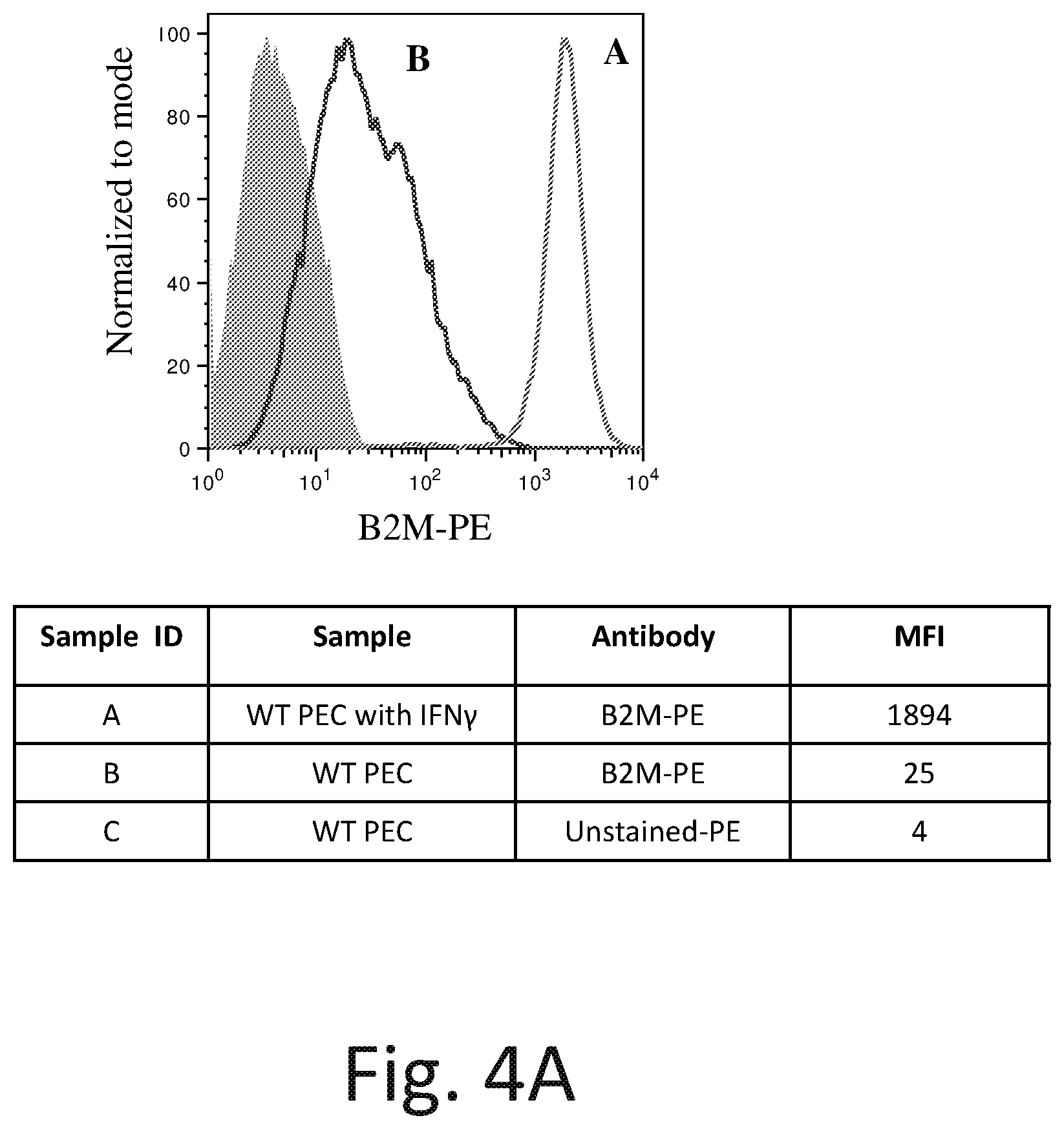 Patent US12576142 Figure 6 – Universal donor cells and related methods