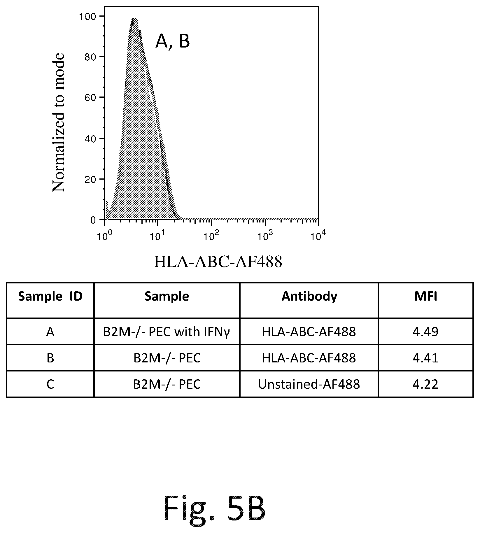 Patent US12576142 Figure 9 – Universal donor cells and related methods