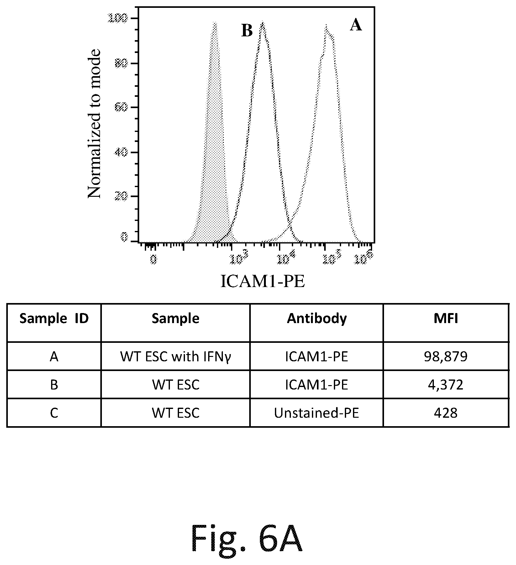 Patent US12576142 Figure 10 – Universal donor cells and related methods