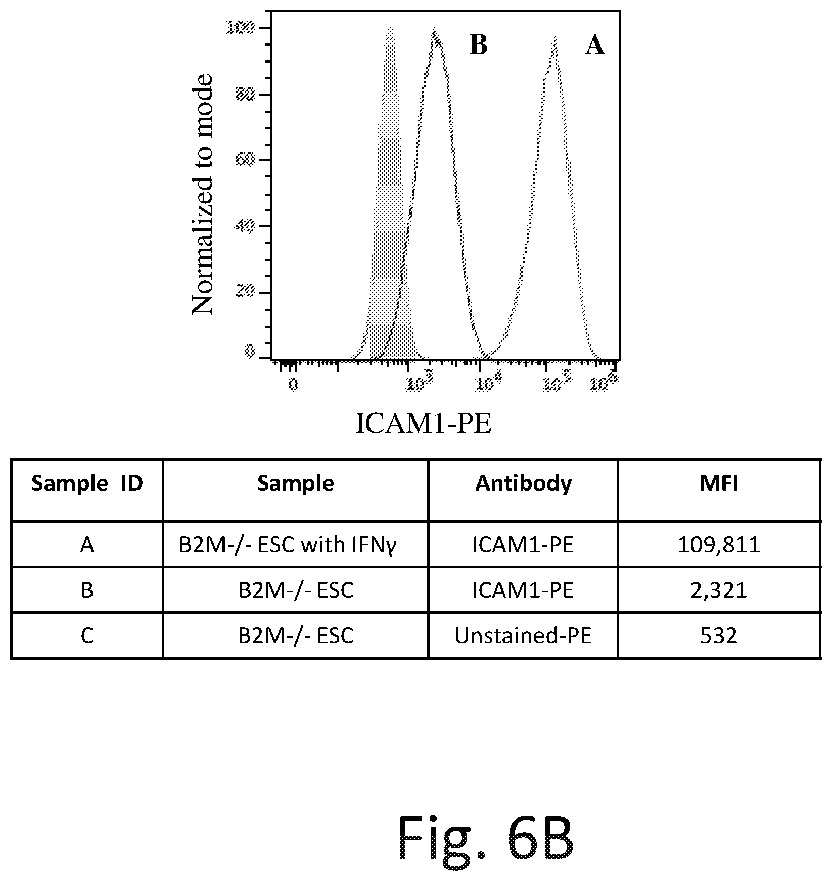 Patent US12576142 Figure 11 – Universal donor cells and related methods