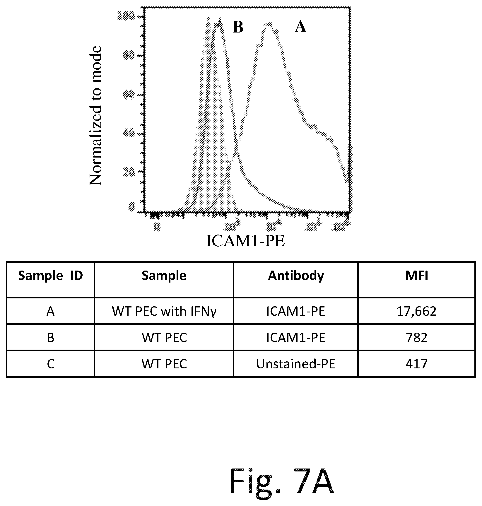 Patent US12576142 Figure 12 – Universal donor cells and related methods