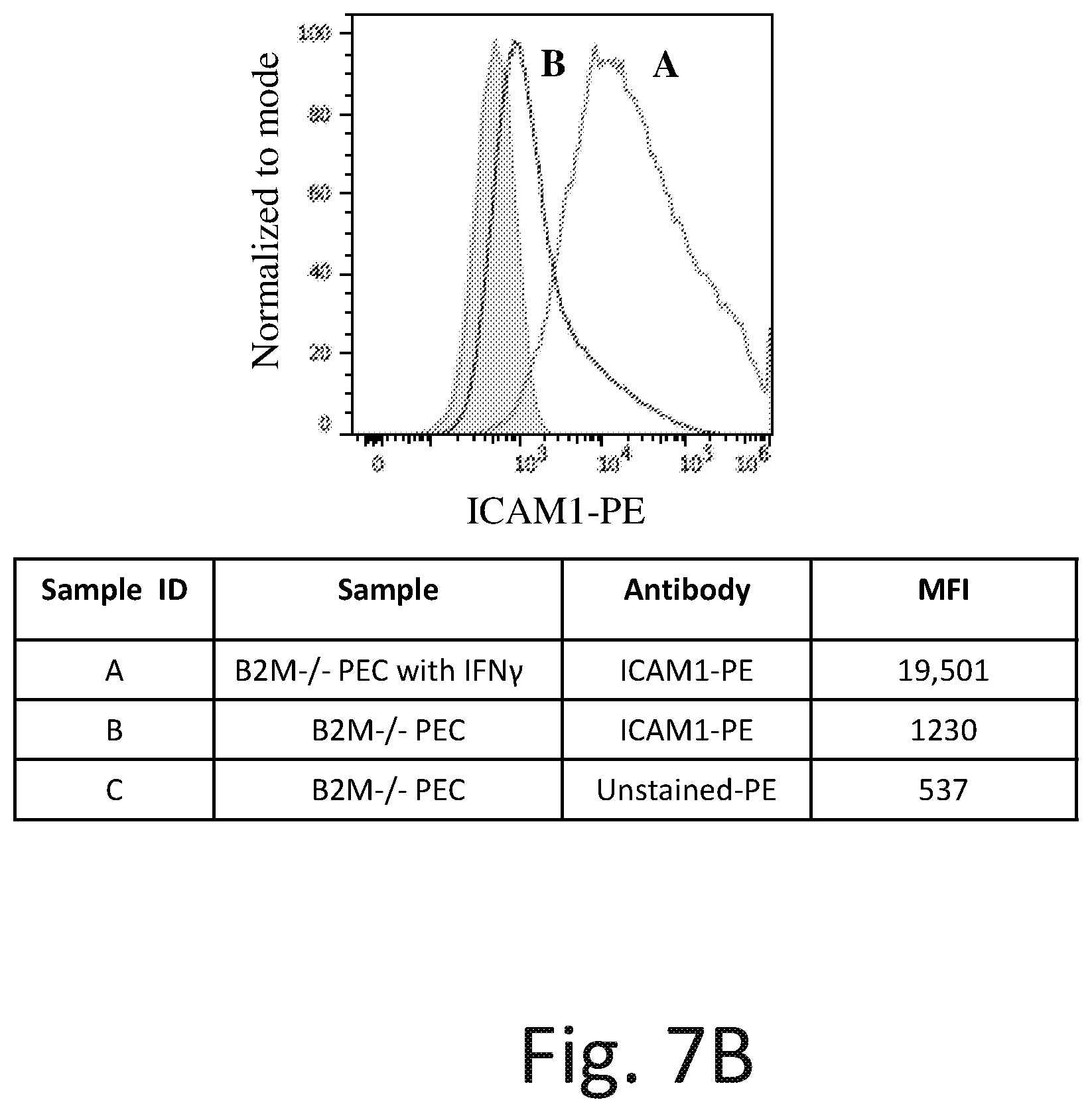 Patent US12576142 Figure 13 – Universal donor cells and related methods