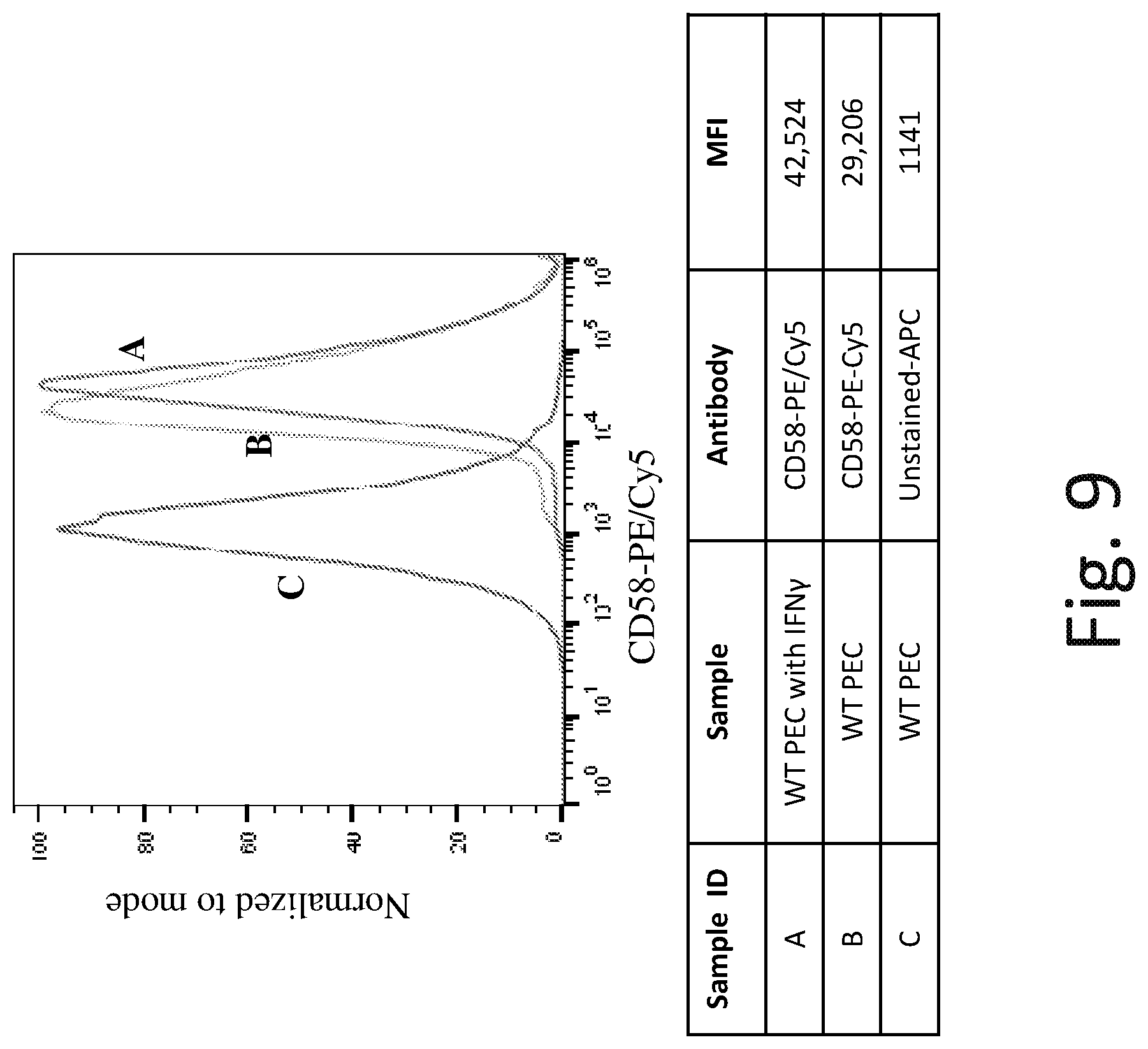 Patent US12576142 Figure 15 – Universal donor cells and related methods