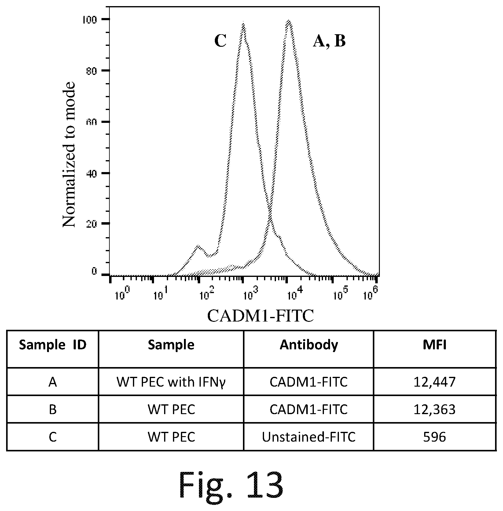 Patent US12576142 Figure 19 – Universal donor cells and related methods