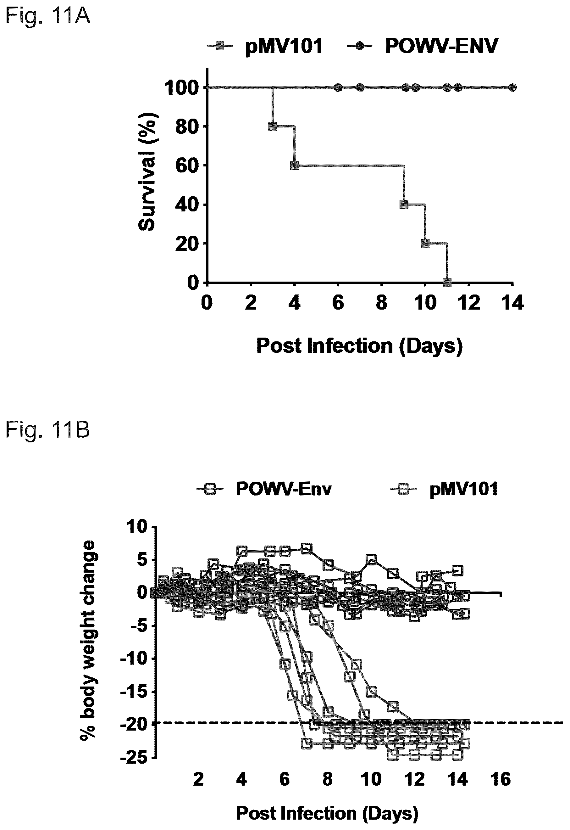 Patent US12576144 Figure 11 – Vaccines against Powassan virus, and methods of using same