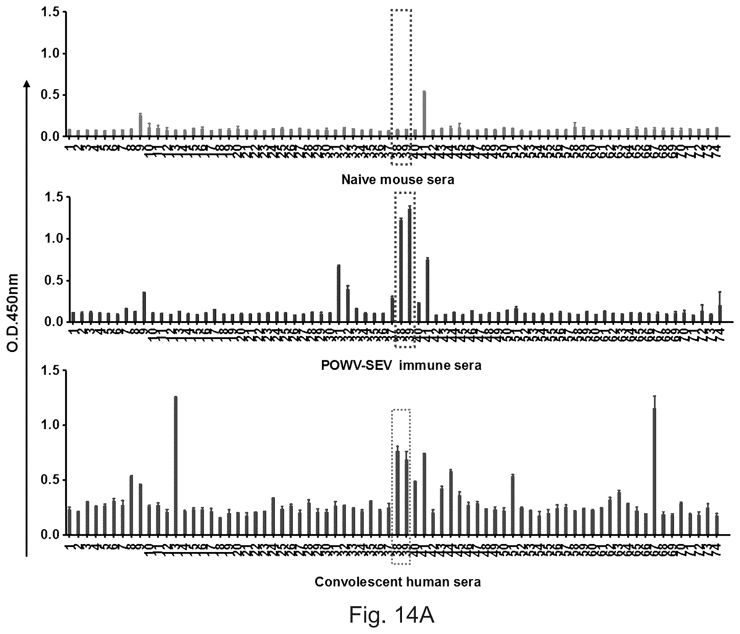 Patent US12576144 Figure 14 – Vaccines against Powassan virus, and methods of using same