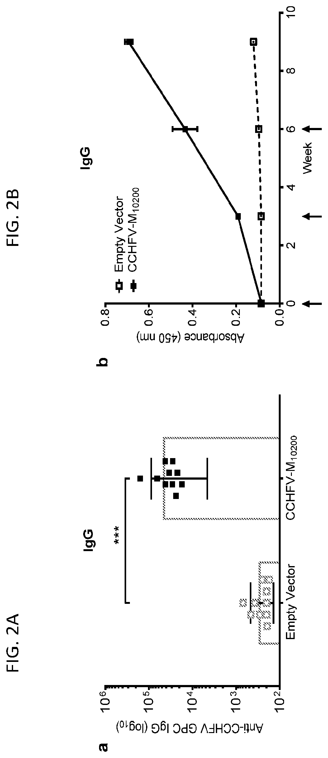 Patent US12576145 Figure 2 – Crimean-Congo hemorrhagic fever virus M-segment nucleic acid vaccine and methods of use and production