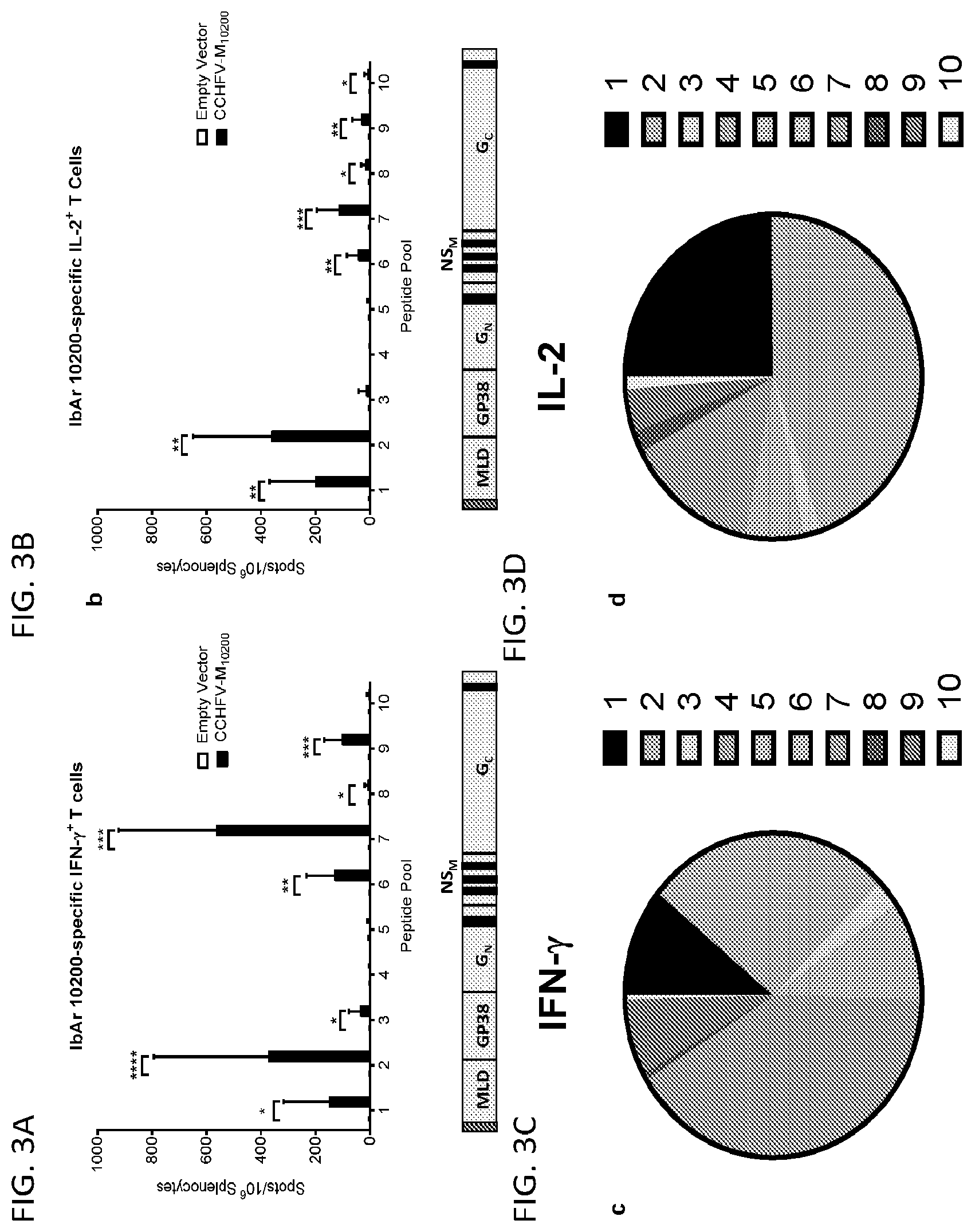 Patent US12576145 Figure 3 – Crimean-Congo hemorrhagic fever virus M-segment nucleic acid vaccine and methods of use and production