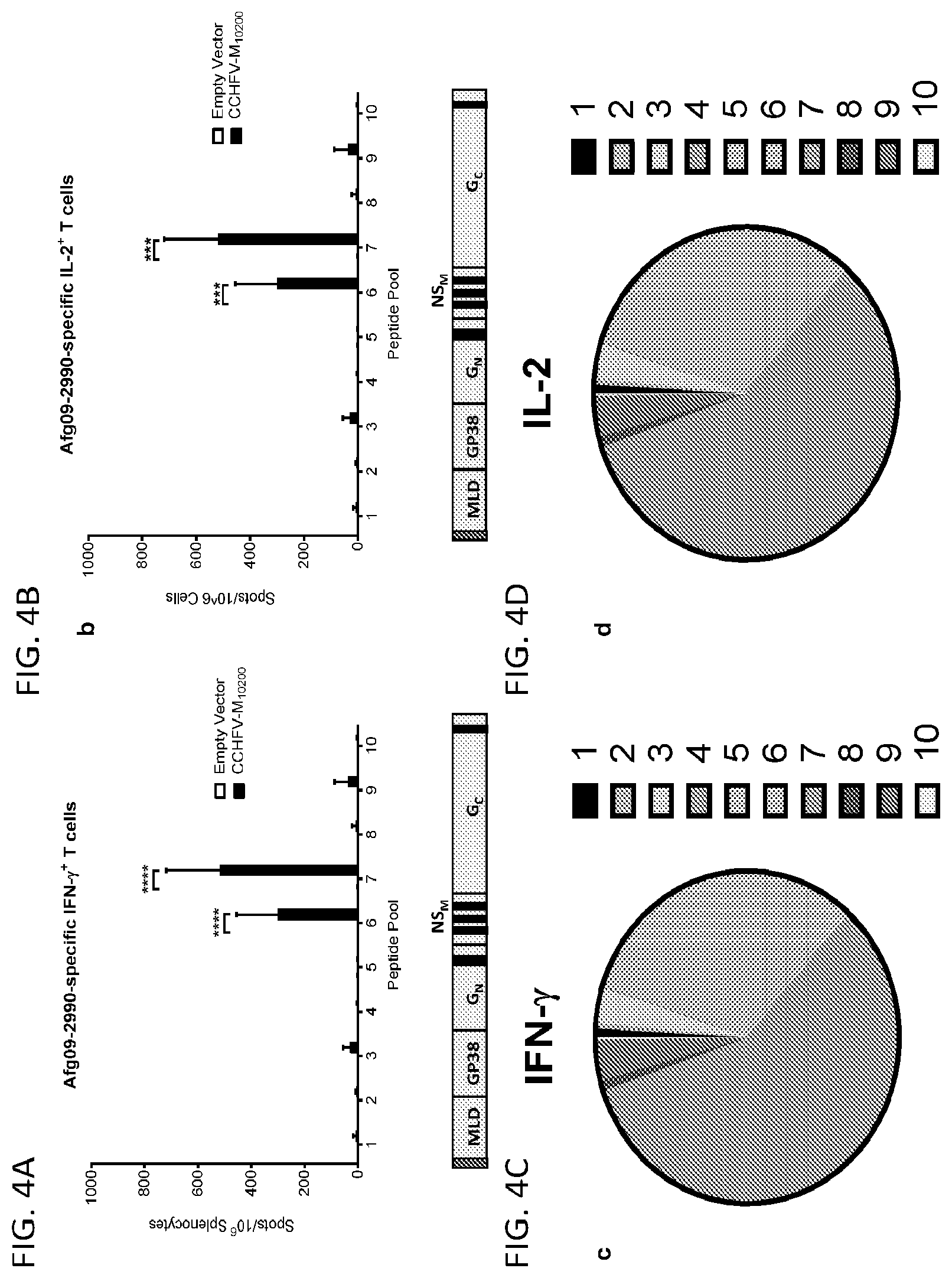 Patent US12576145 Figure 4 – Crimean-Congo hemorrhagic fever virus M-segment nucleic acid vaccine and methods of use and production