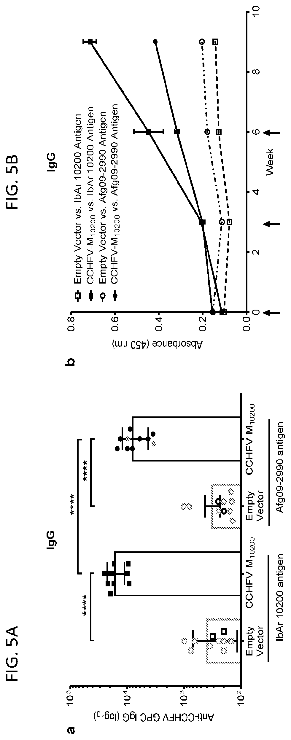 Patent US12576145 Figure 5 – Crimean-Congo hemorrhagic fever virus M-segment nucleic acid vaccine and methods of use and production