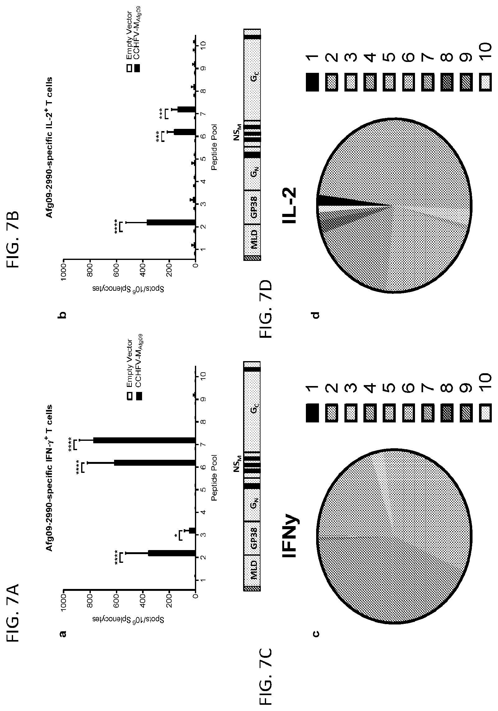 Patent US12576145 Figure 7 – Crimean-Congo hemorrhagic fever virus M-segment nucleic acid vaccine and methods of use and production