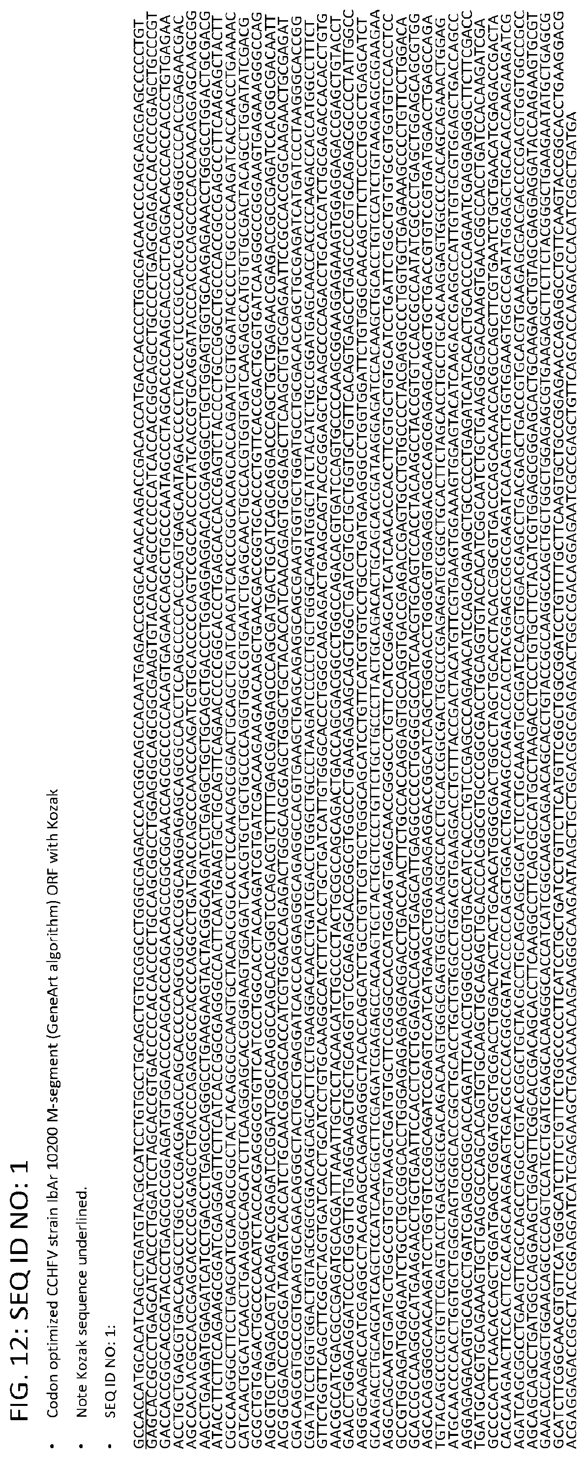 Patent US12576145 Figure 12 – Crimean-Congo hemorrhagic fever virus M-segment nucleic acid vaccine and methods of use and production