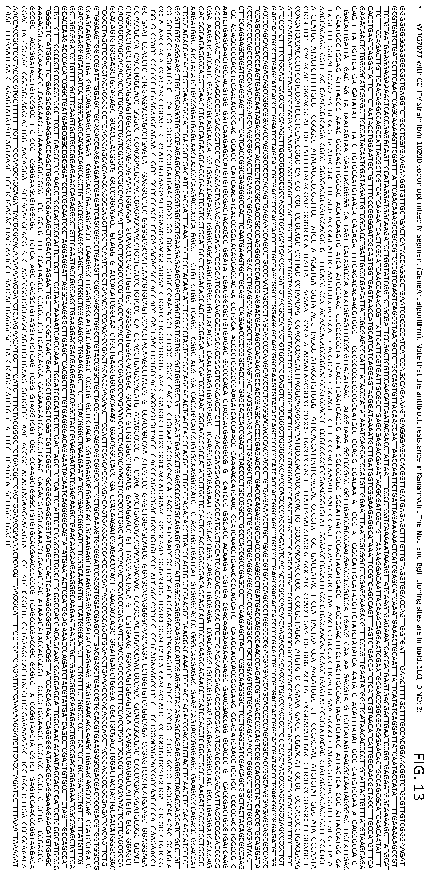 Patent US12576145 Figure 13 – Crimean-Congo hemorrhagic fever virus M-segment nucleic acid vaccine and methods of use and production