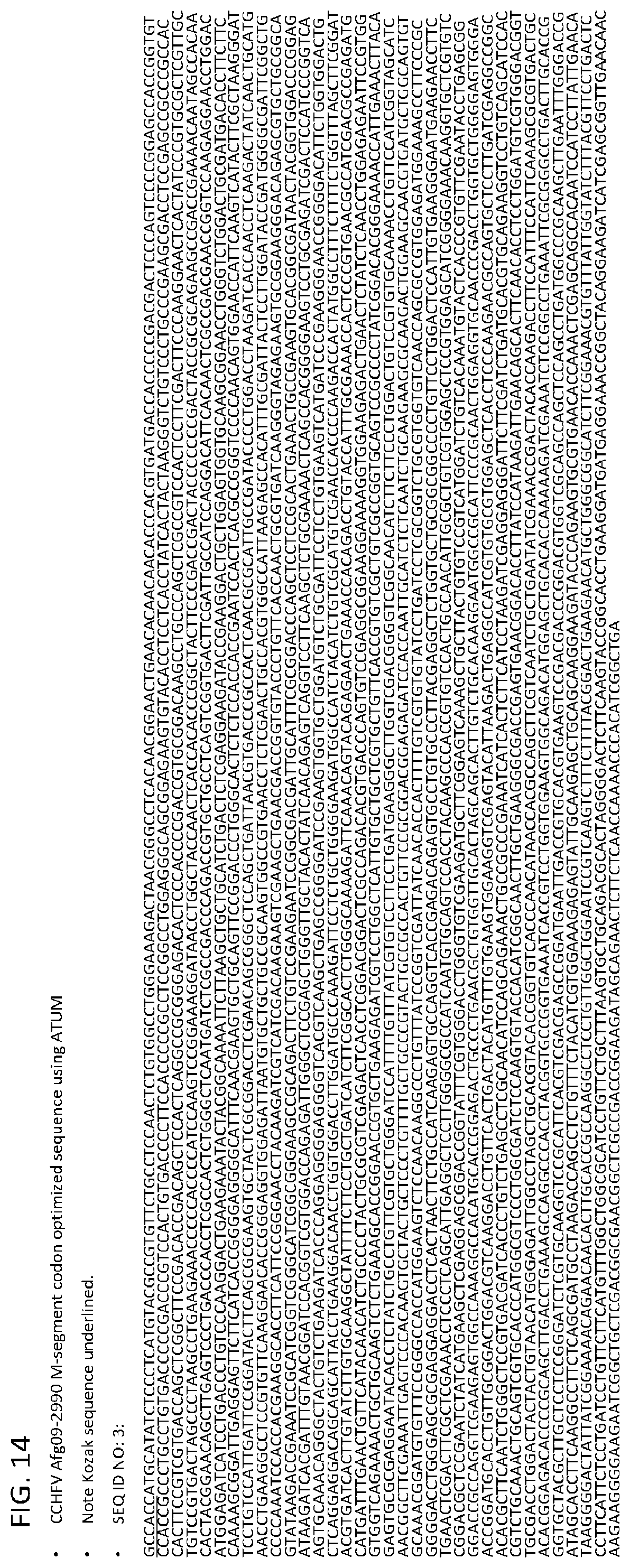 Patent US12576145 Figure 14 – Crimean-Congo hemorrhagic fever virus M-segment nucleic acid vaccine and methods of use and production