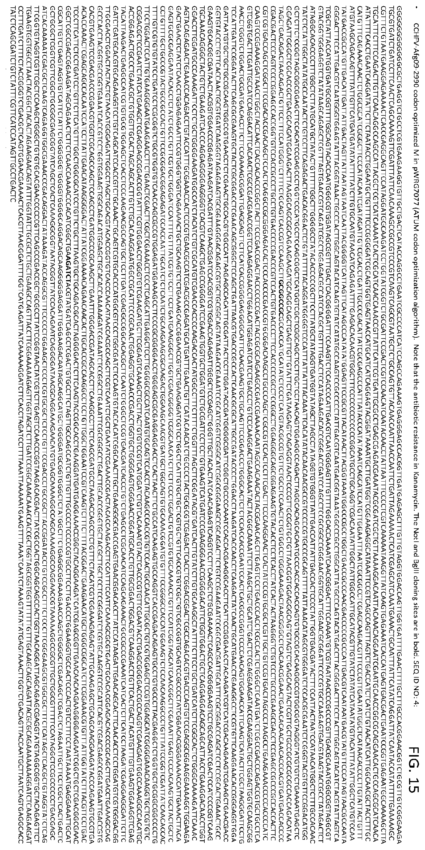 Patent US12576145 Figure 15 – Crimean-Congo hemorrhagic fever virus M-segment nucleic acid vaccine and methods of use and production