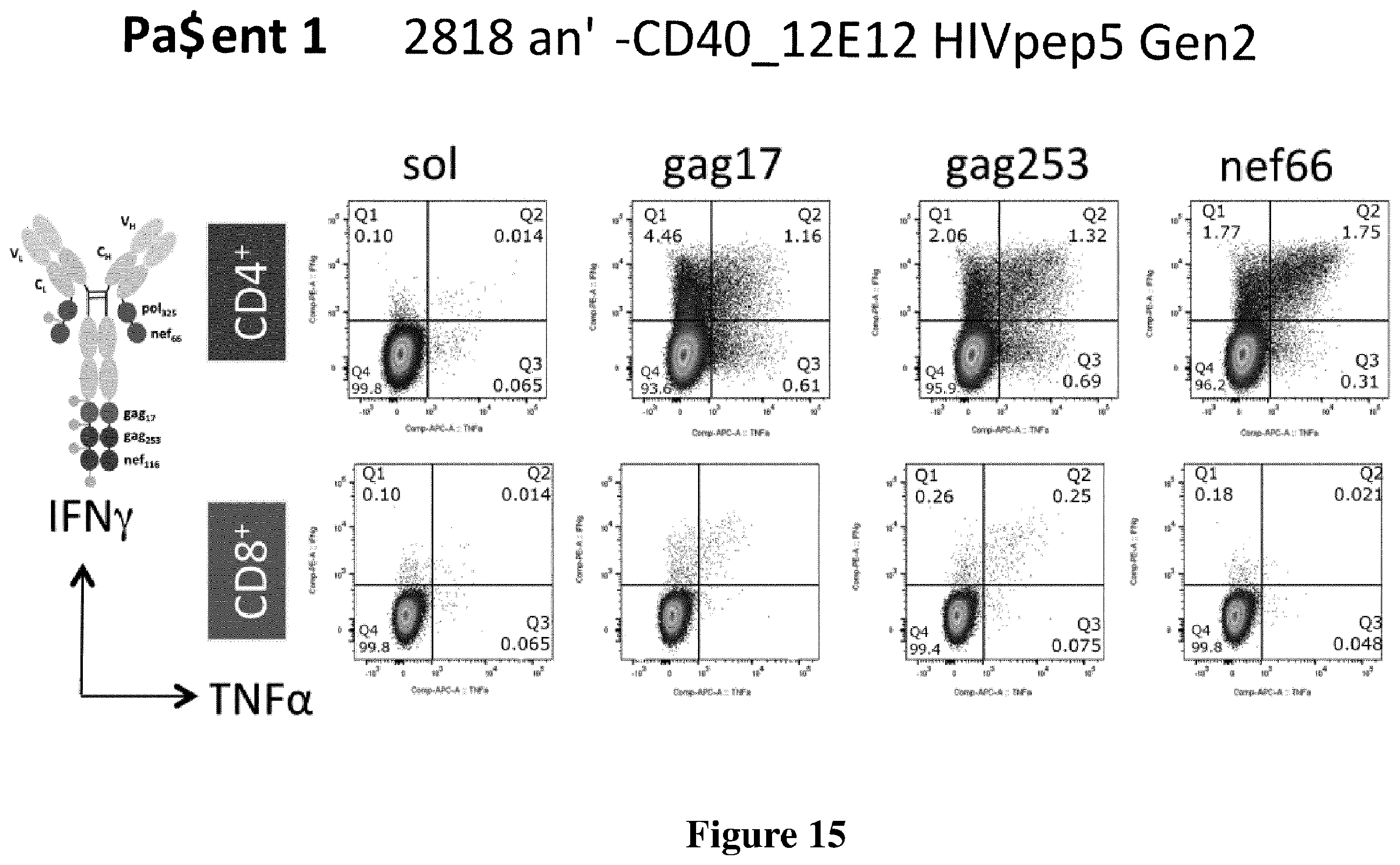 Patent US12576147 Figure 15 – Recombinant proteins with CD40 activating properties