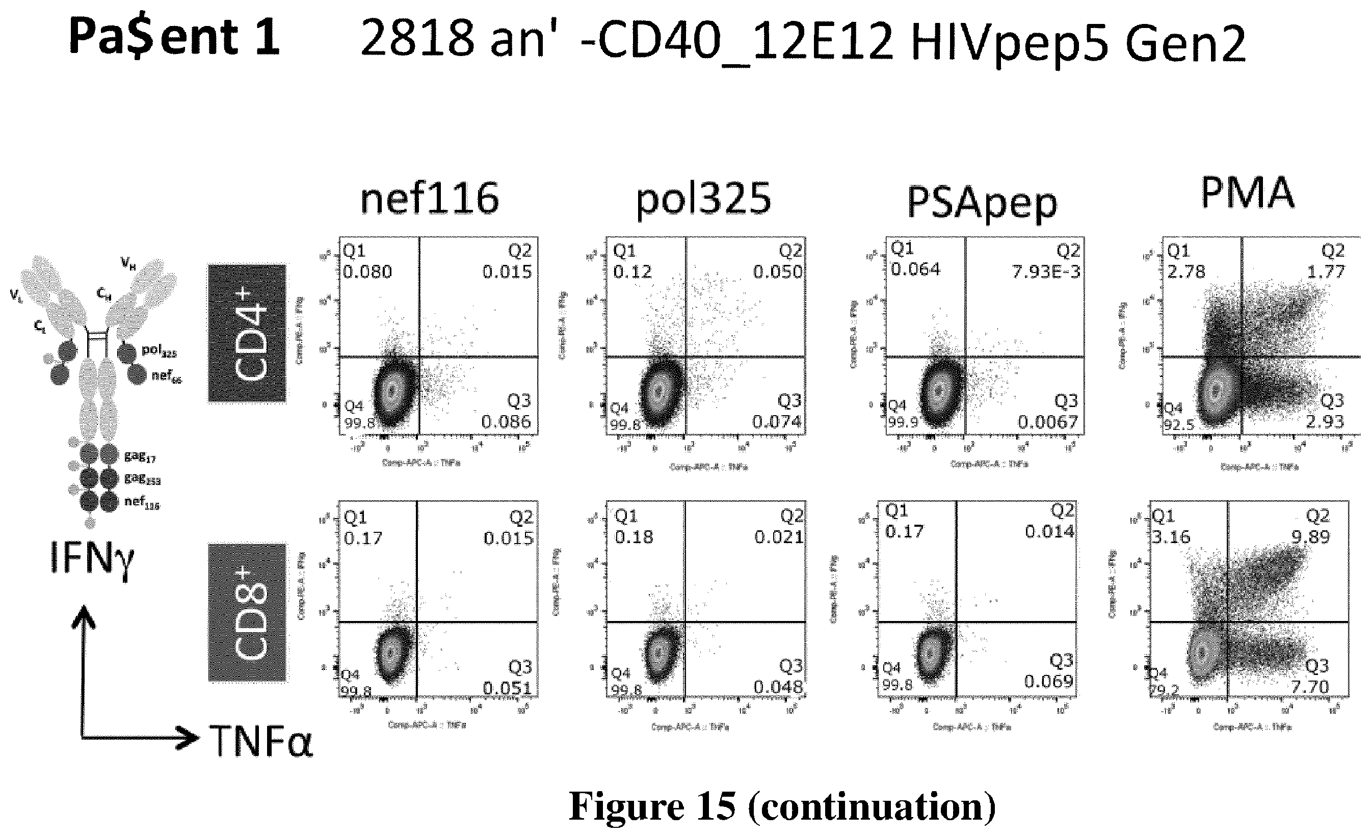Patent US12576147 Figure 16 – Recombinant proteins with CD40 activating properties