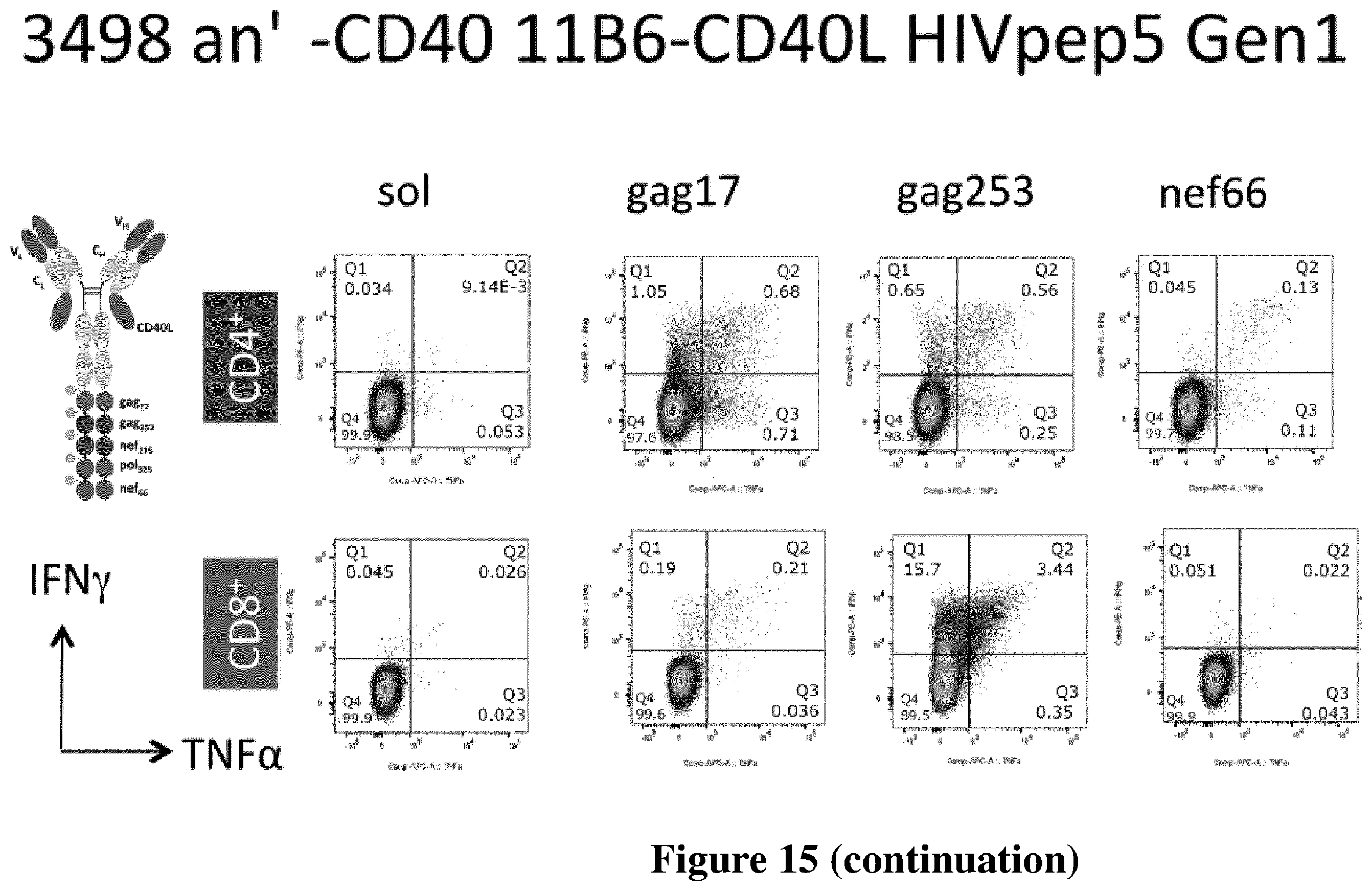 Patent US12576147 Figure 17 – Recombinant proteins with CD40 activating properties