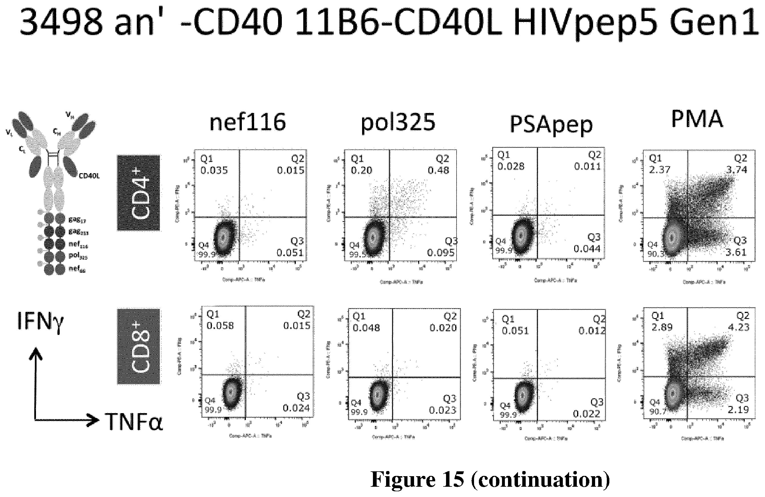 Patent US12576147 Figure 18 – Recombinant proteins with CD40 activating properties