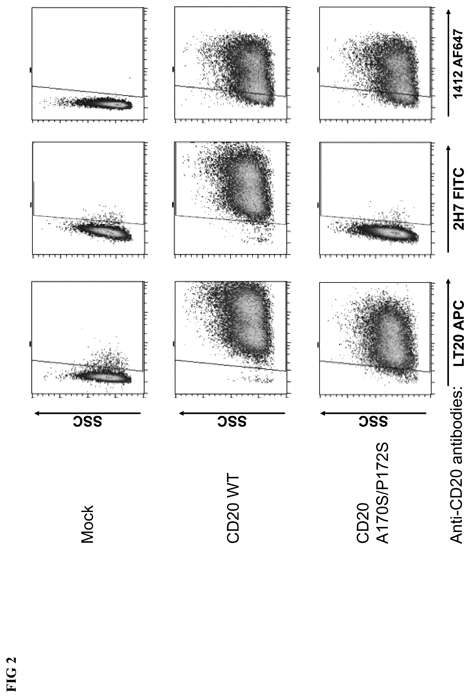 Patent US12576148 Figure 2 – Engineered immune effector cells for cancer immunotherapy that are resistant to fratricide by virtue of having genetically modified surface antigens