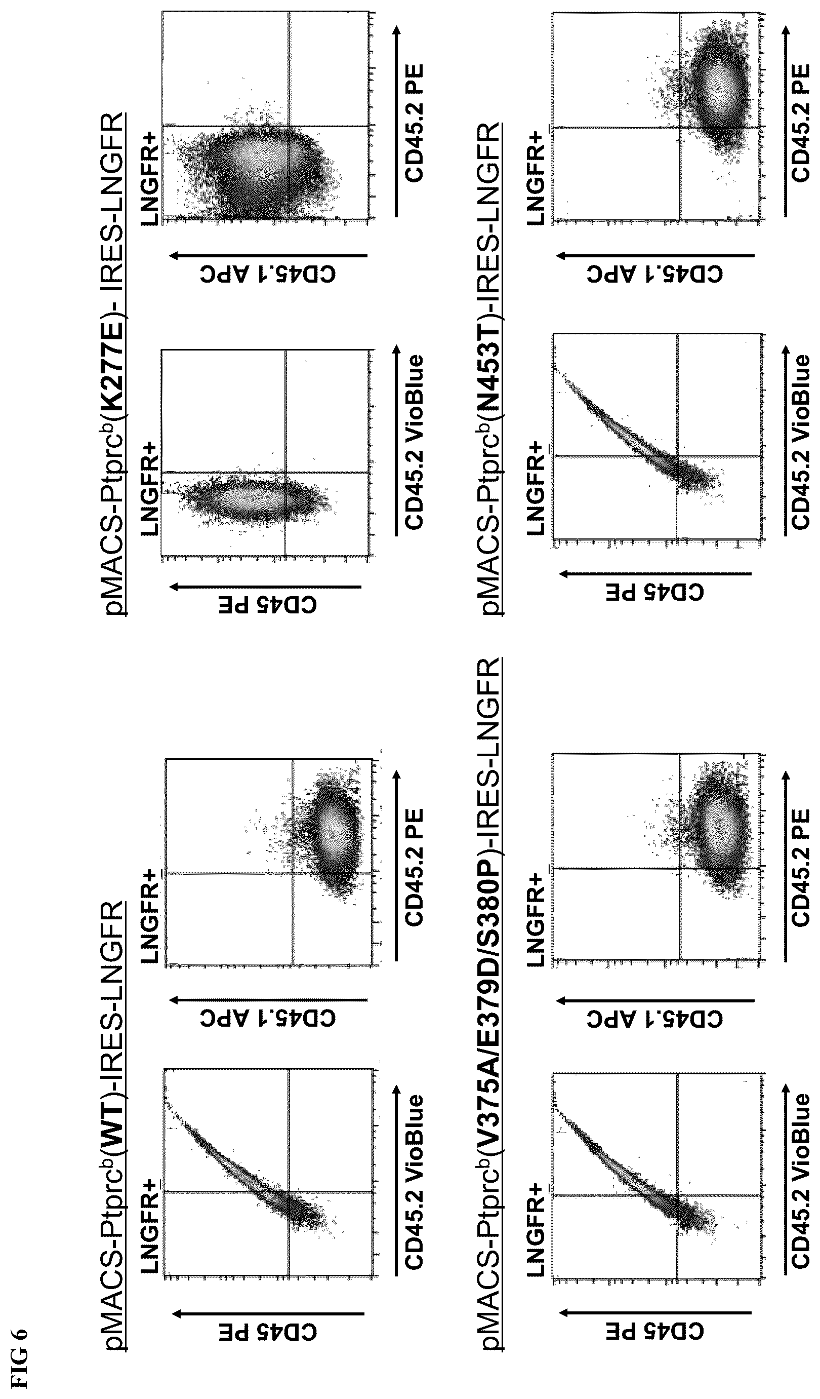 Patent US12576148 Figure 6 – Engineered immune effector cells for cancer immunotherapy that are resistant to fratricide by virtue of having genetically modified surface antigens
