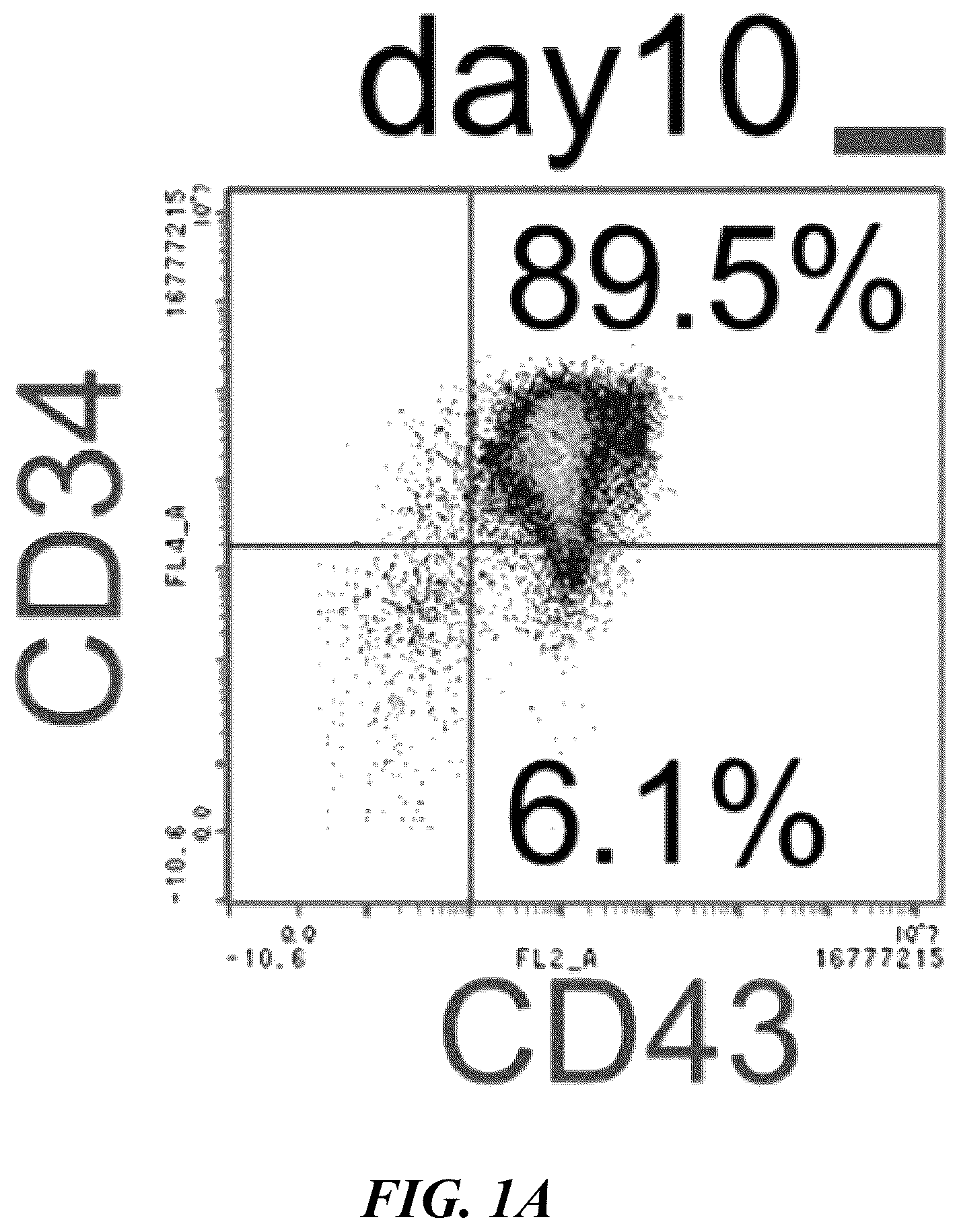 Patent US12576149 Figure 1 – Gamma delta T cells derived from induced pluripotent stem cells, and production method therefor