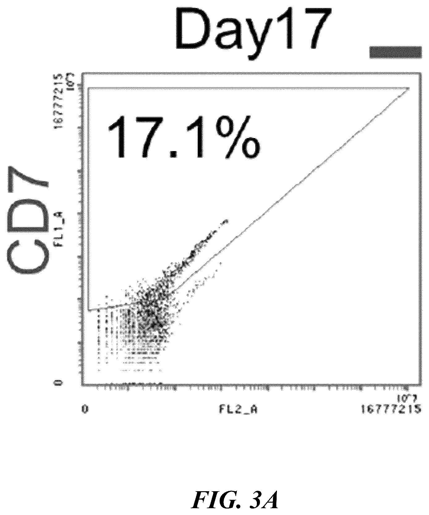 Patent US12576149 Figure 5 – Gamma delta T cells derived from induced pluripotent stem cells, and production method therefor