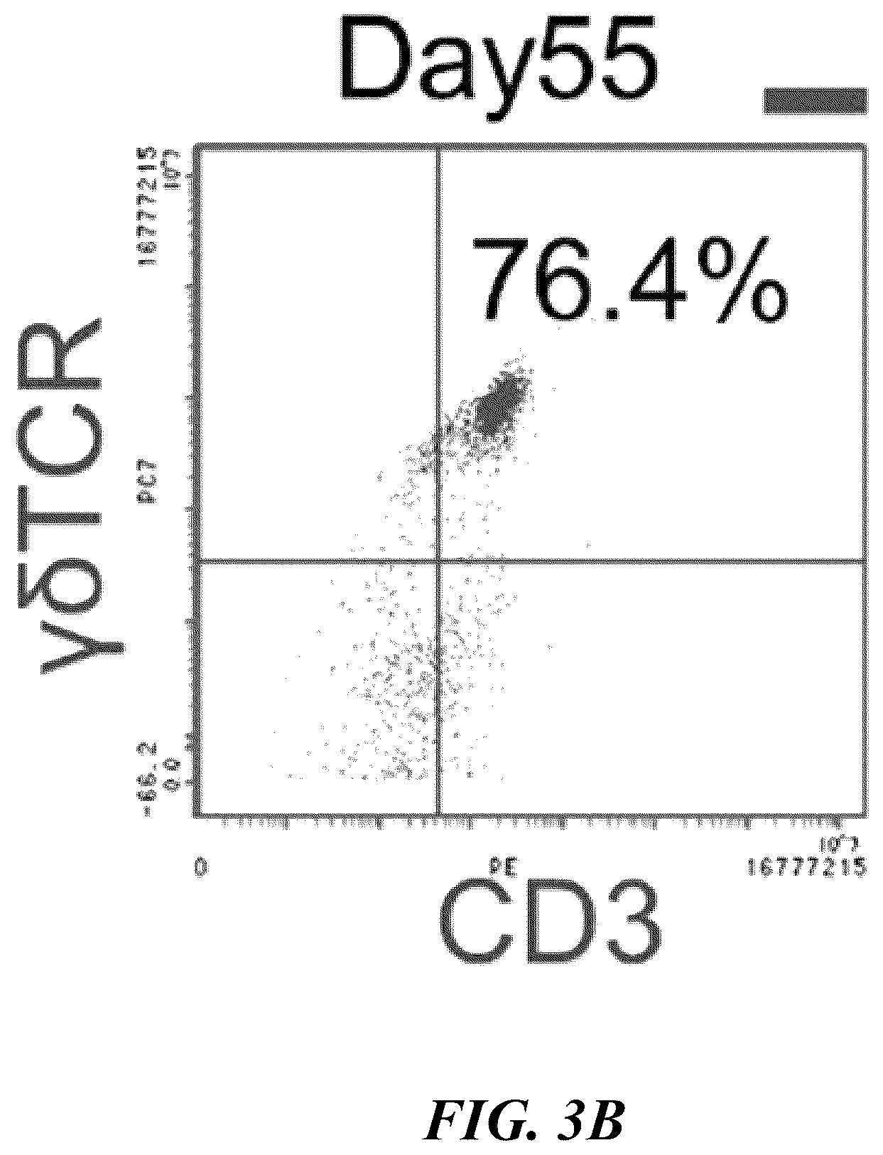 Patent US12576149 Figure 6 – Gamma delta T cells derived from induced pluripotent stem cells, and production method therefor