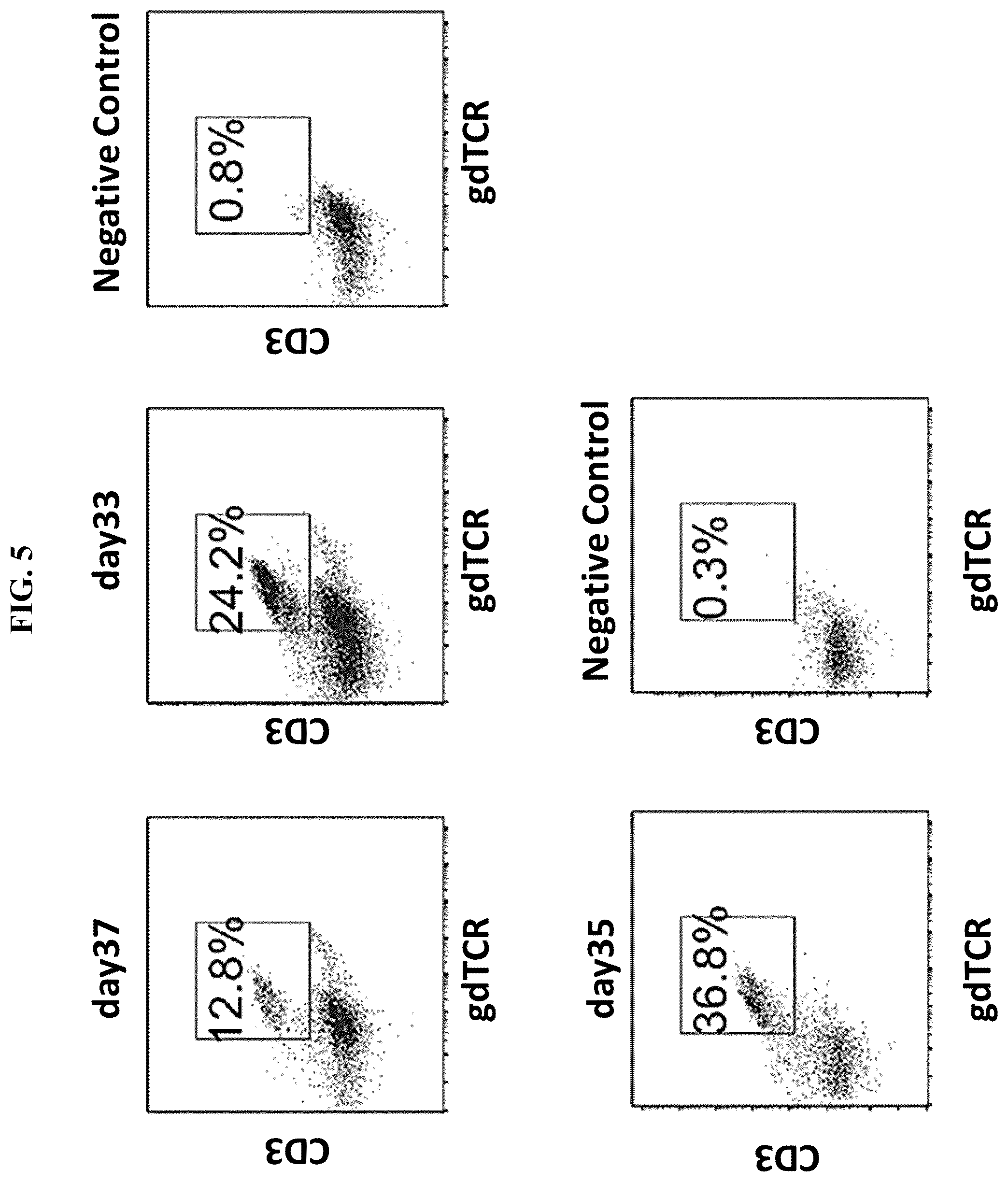 Patent US12576149 Figure 9 – Gamma delta T cells derived from induced pluripotent stem cells, and production method therefor