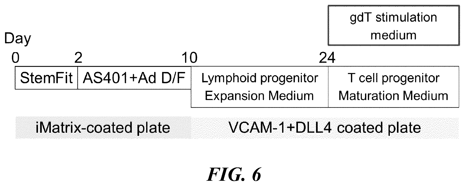 Patent US12576149 Figure 10 – Gamma delta T cells derived from induced pluripotent stem cells, and production method therefor
