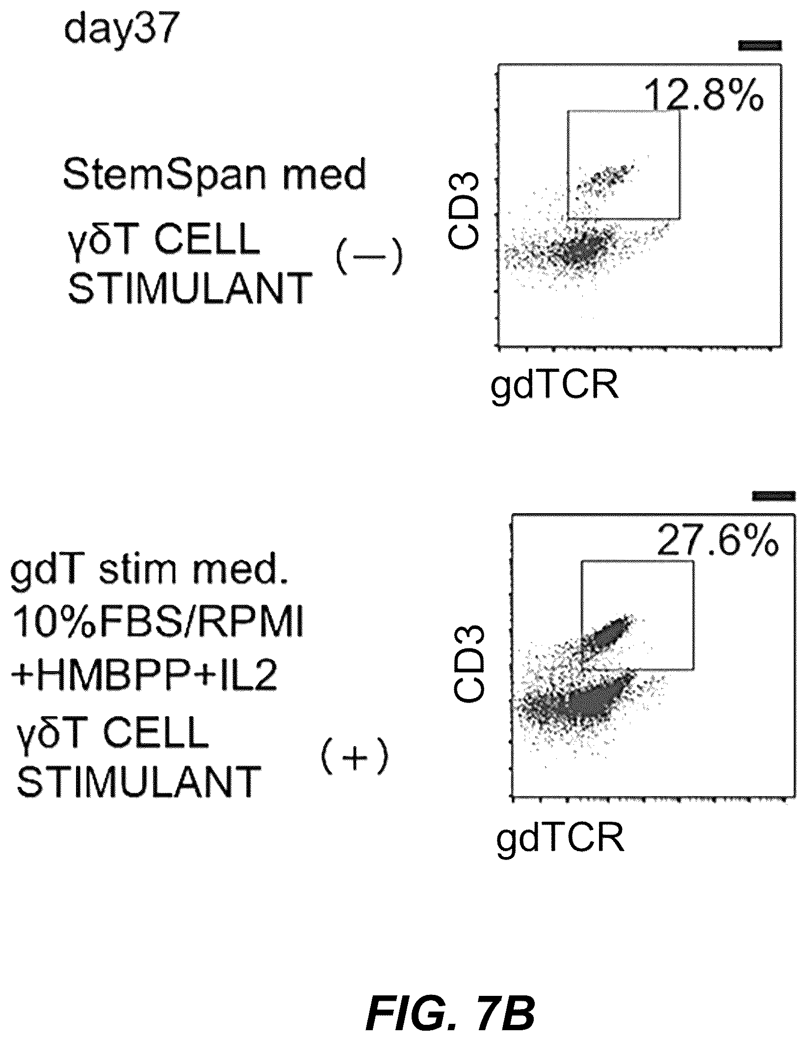 Patent US12576149 Figure 12 – Gamma delta T cells derived from induced pluripotent stem cells, and production method therefor