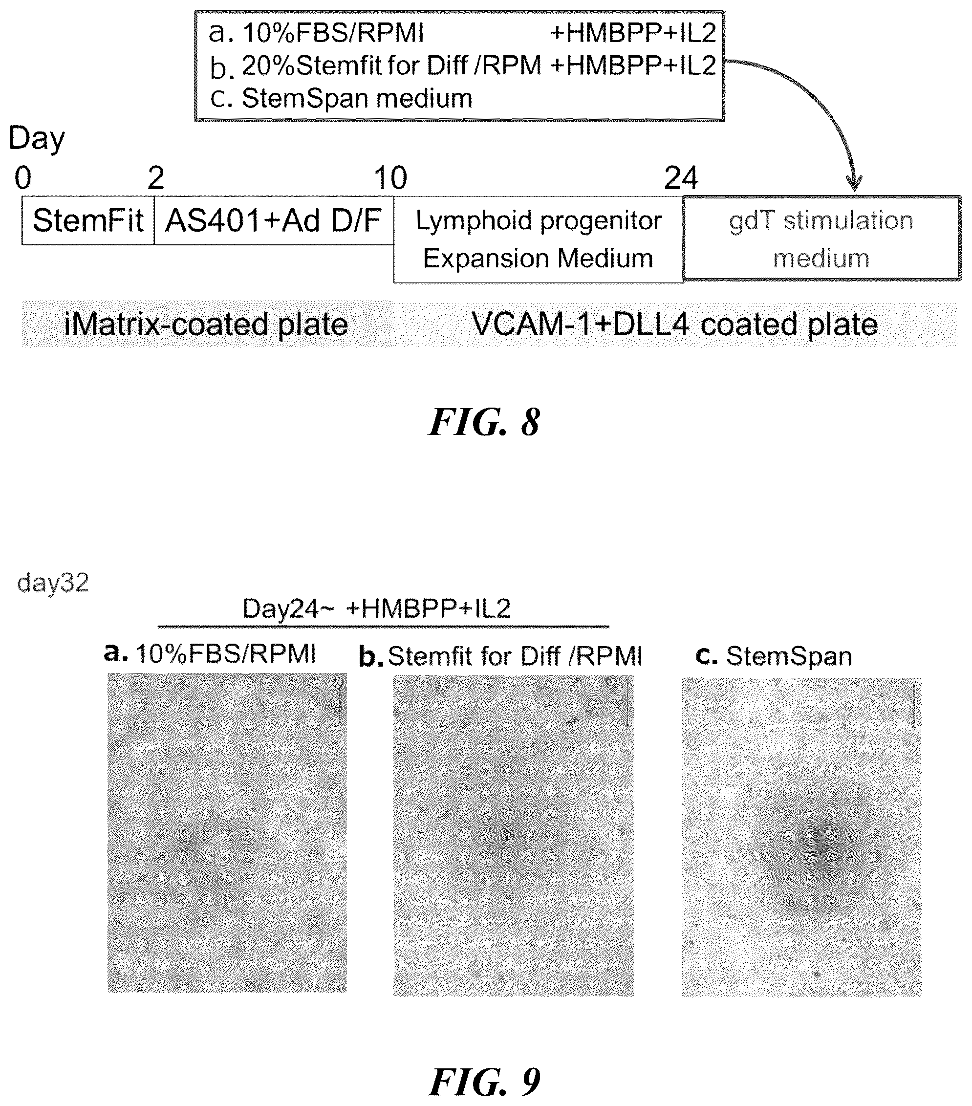 Patent US12576149 Figure 13 – Gamma delta T cells derived from induced pluripotent stem cells, and production method therefor