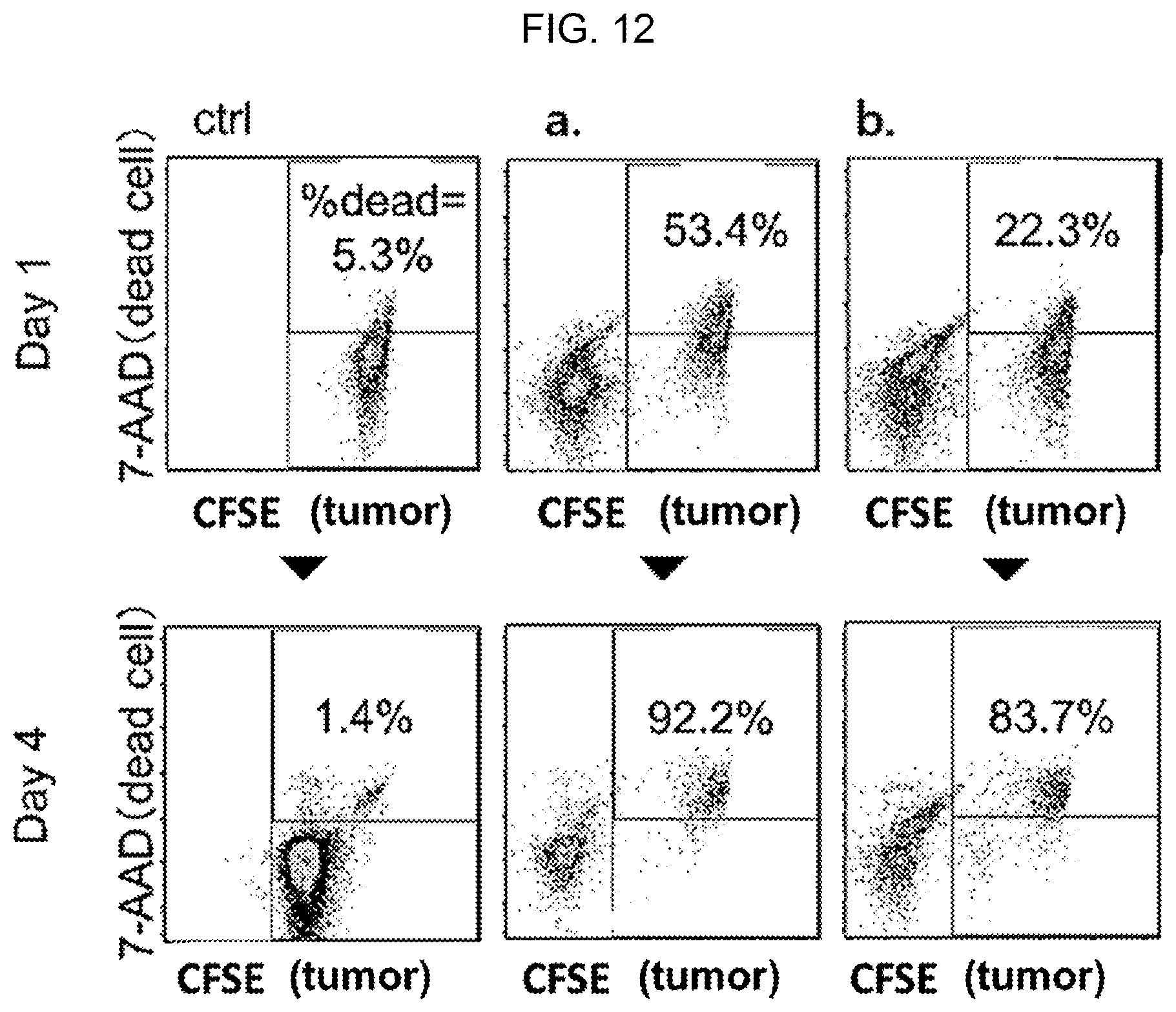 Patent US12576149 Figure 16 – Gamma delta T cells derived from induced pluripotent stem cells, and production method therefor