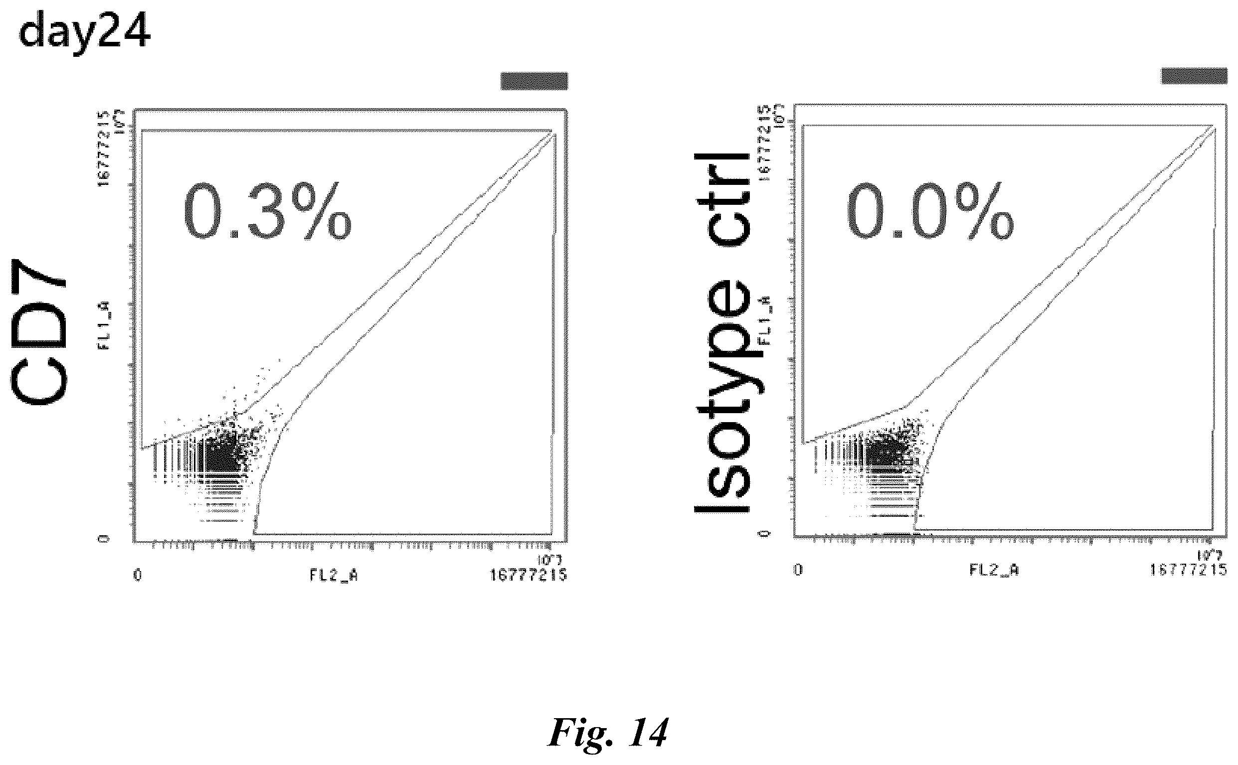 Patent US12576149 Figure 18 – Gamma delta T cells derived from induced pluripotent stem cells, and production method therefor