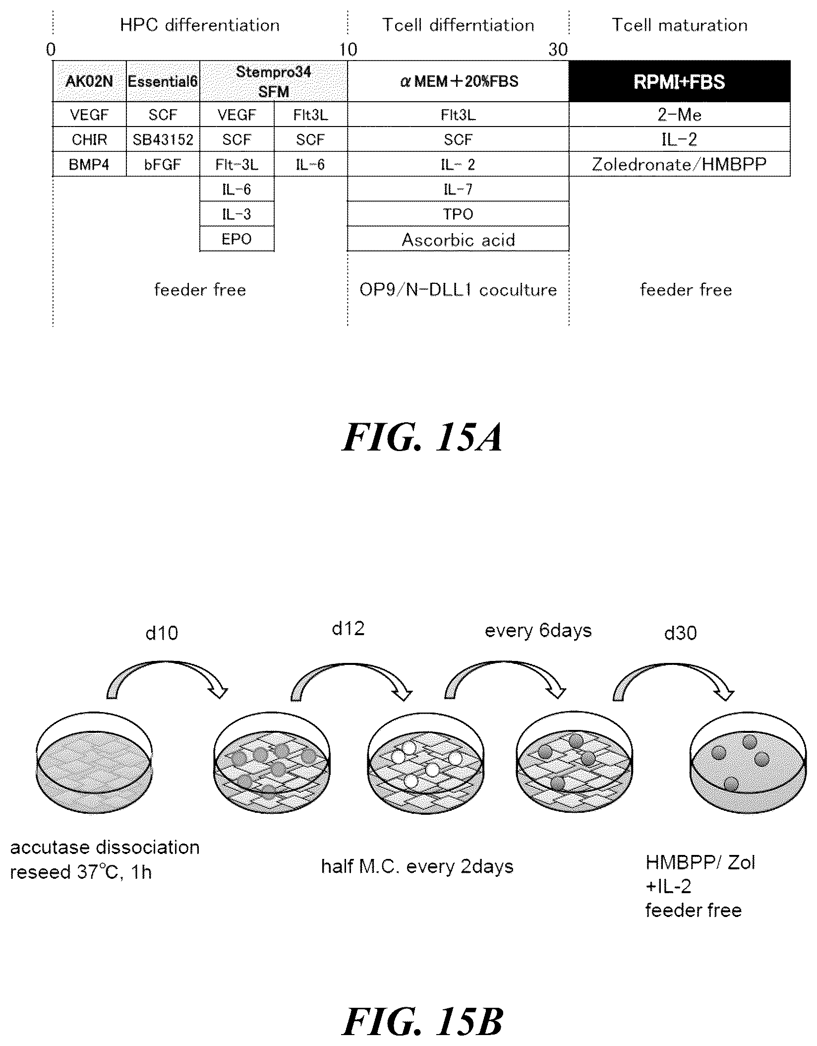 Patent US12576149 Figure 19 – Gamma delta T cells derived from induced pluripotent stem cells, and production method therefor